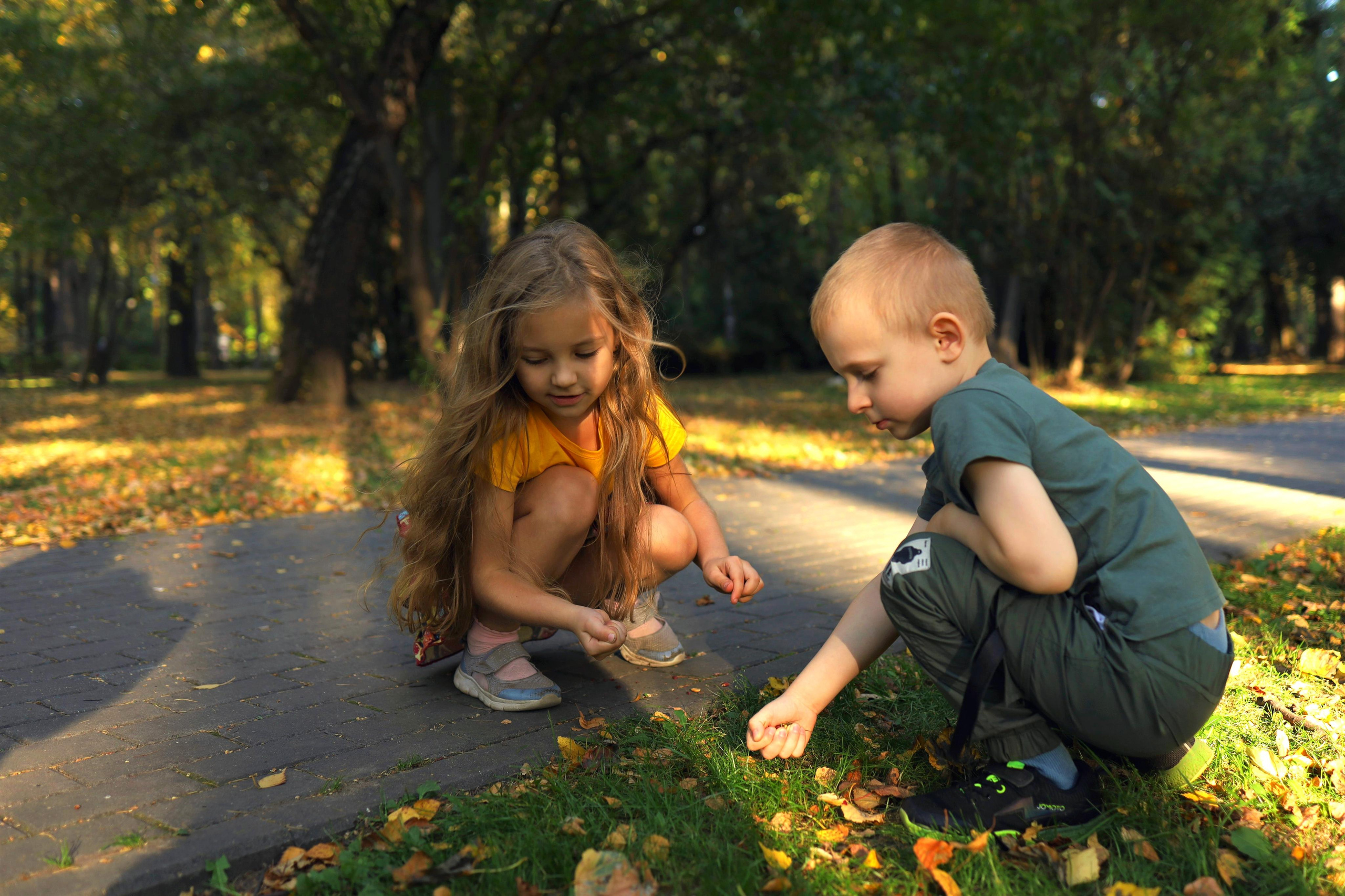 Фотография детей в парке в осенний день