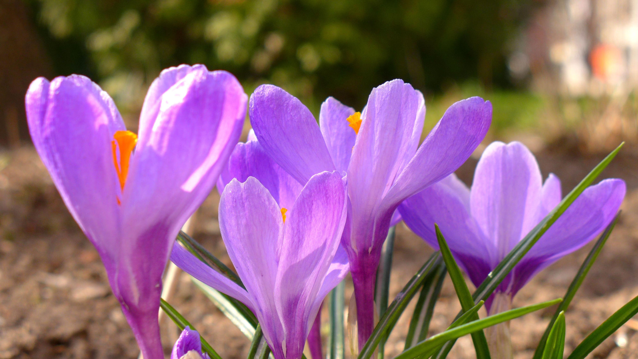 Вопросы о фотосессии. Профессиональный фотограф в Москве, Измайлово