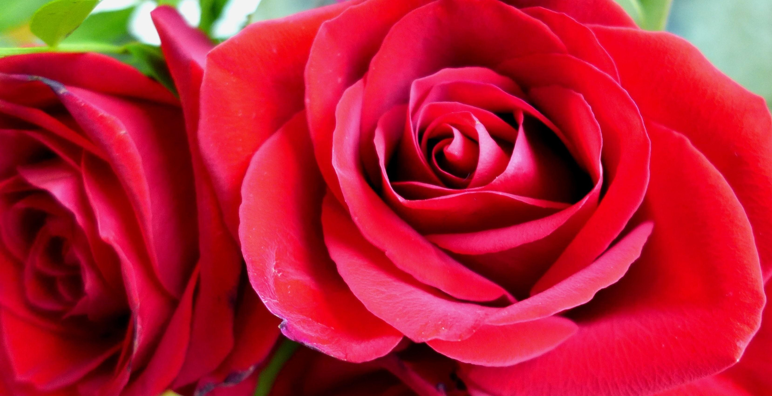 Reviews. Photo-gerz.ru