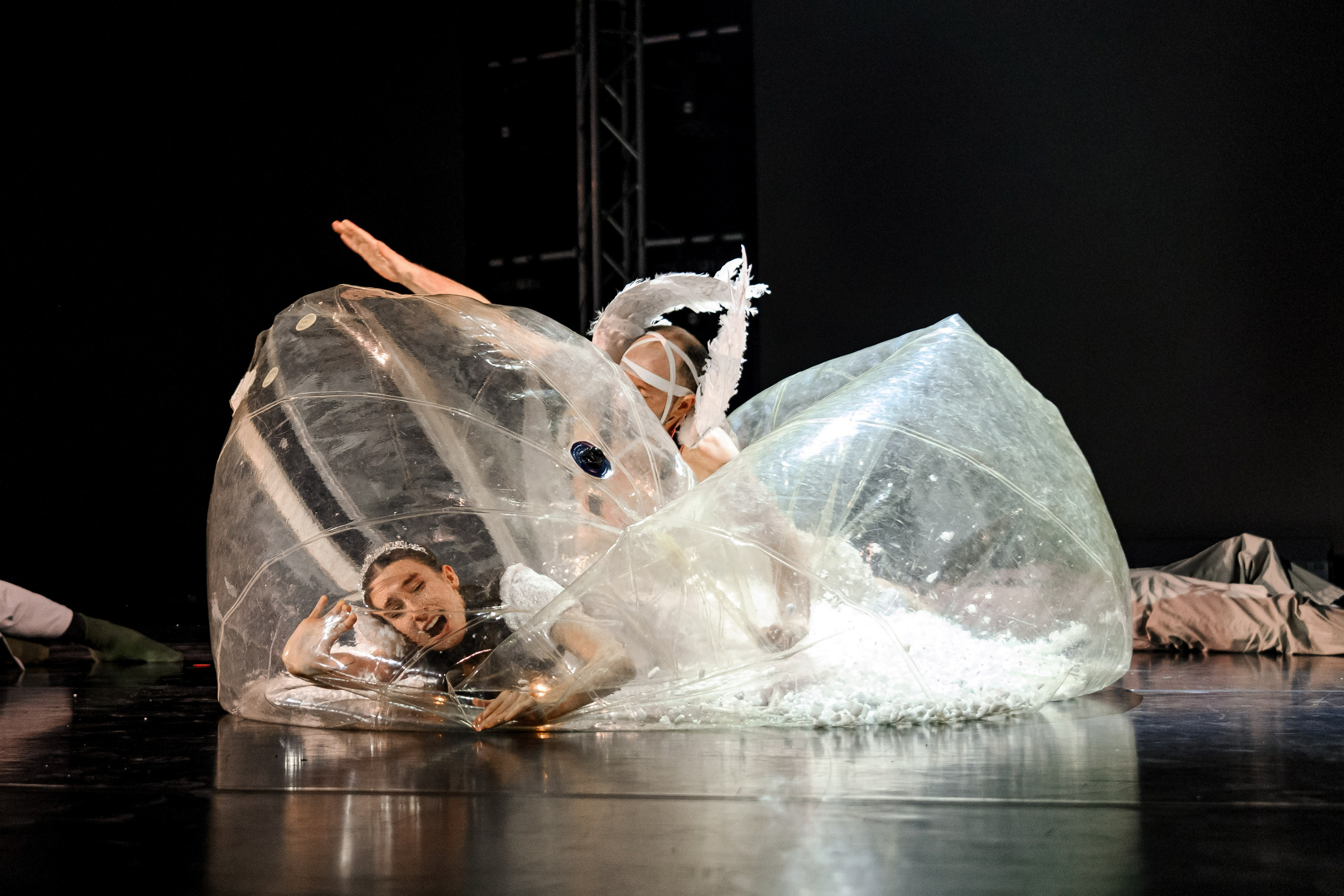 E1 2025. Максим Комаров — Профессиональный фотограф