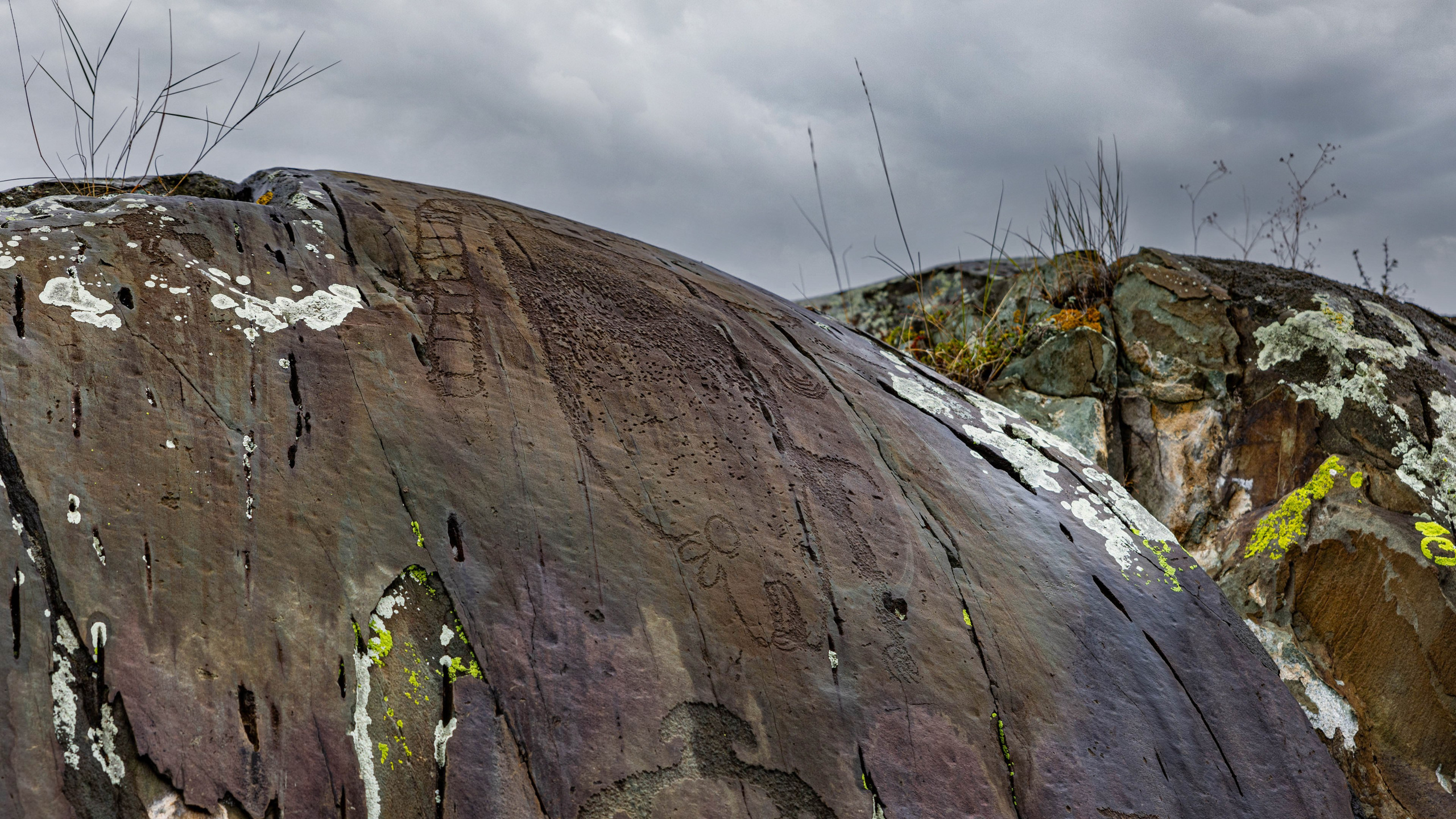 2025 09 Алтай. Чуйский тракт. Фотографии