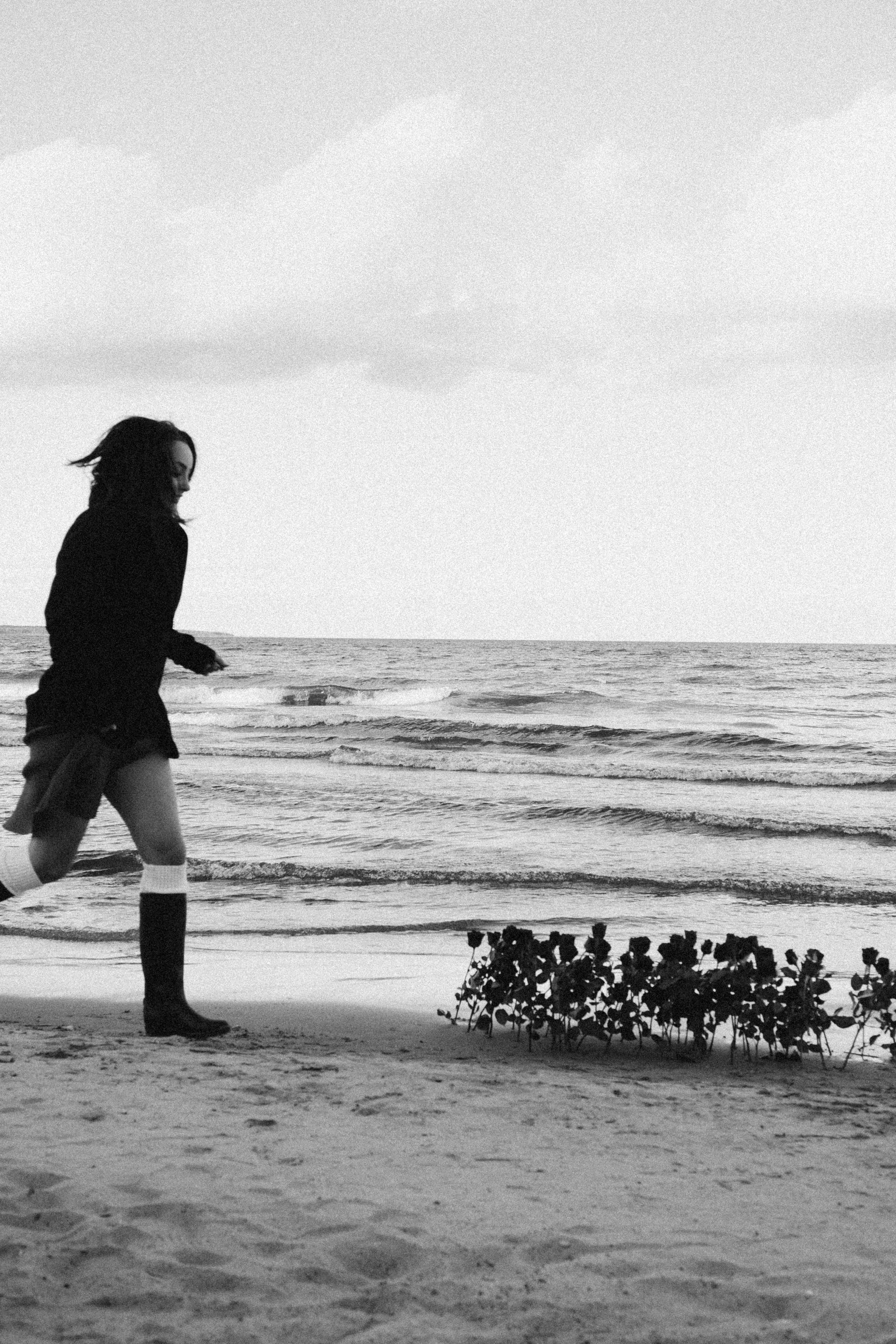 Розы. Профессиональный фотограф, Санкт-Петербург — Виктория Богомолова