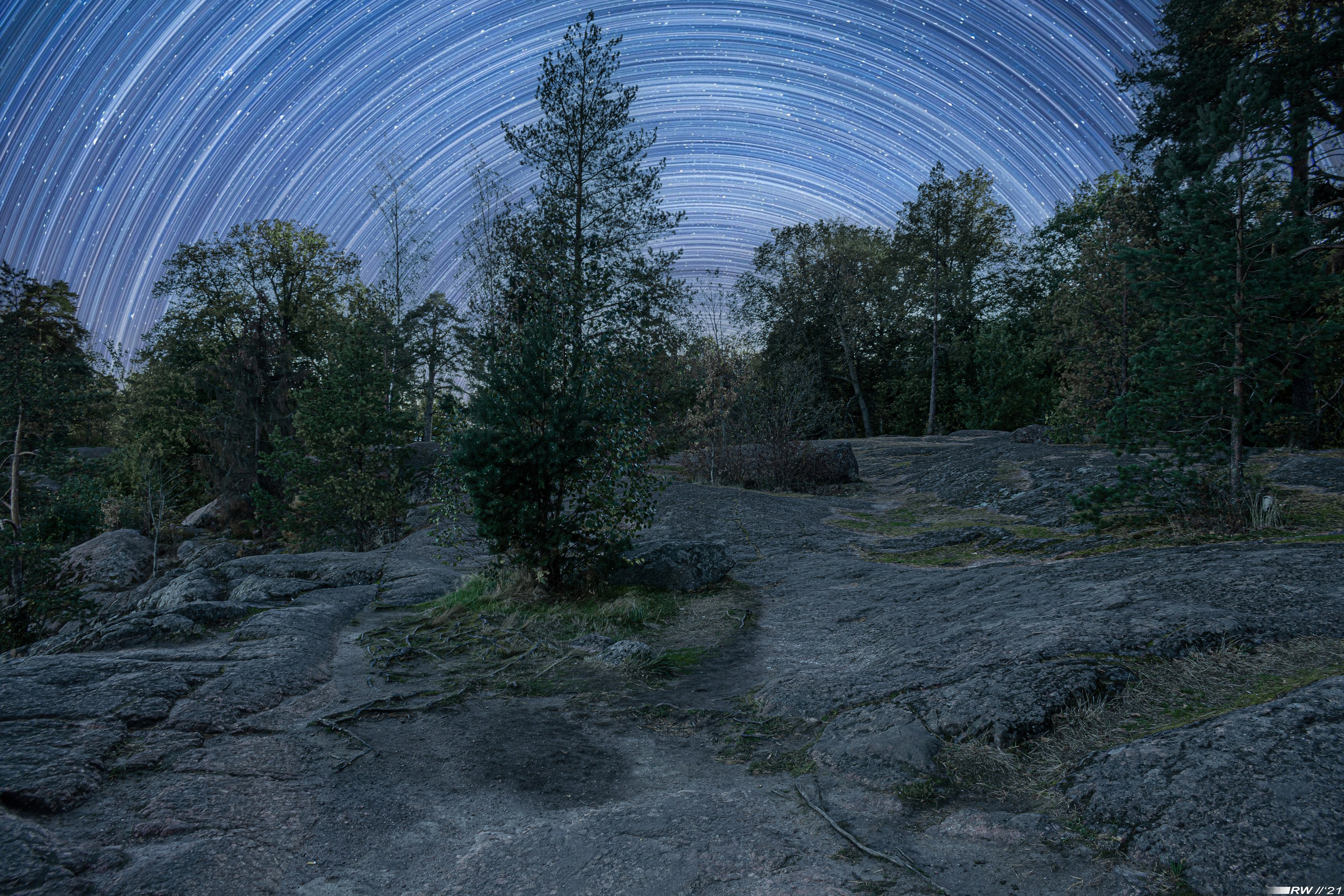 Автор: Дмитрий Раевский