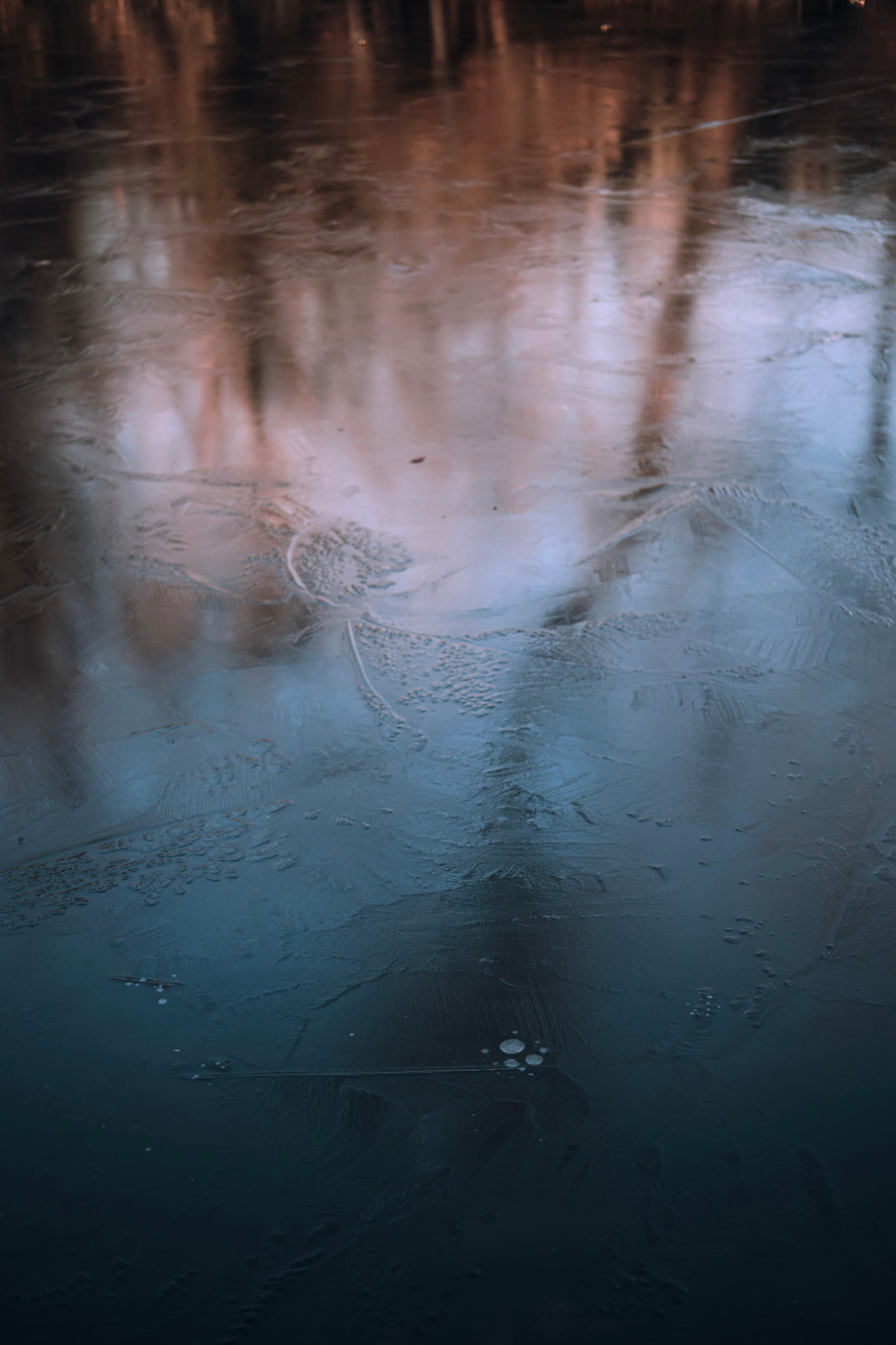 Автор: Дарья Ролдугина