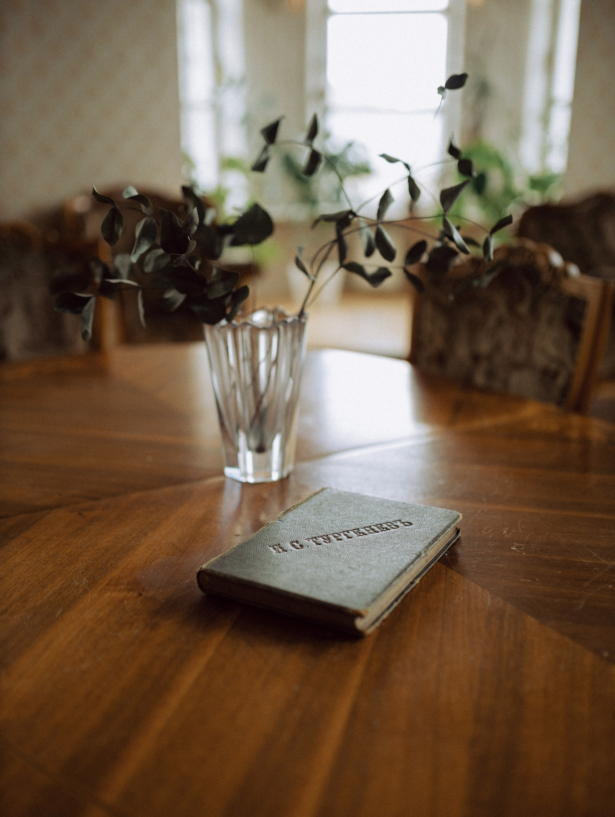 Анастасия. Женский и семейный фотограф в Санкт-Петербурге Ольга Сидорова