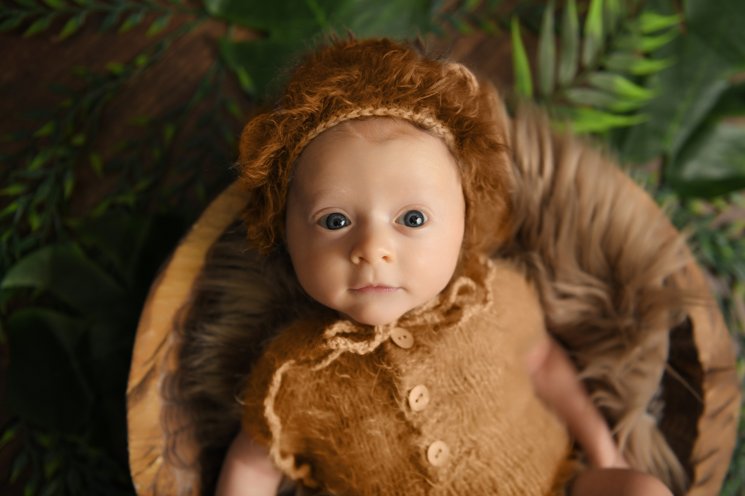 1-2 месяца. Фотограф новорожденных, беременных и детей до года Татьяна Николаева В