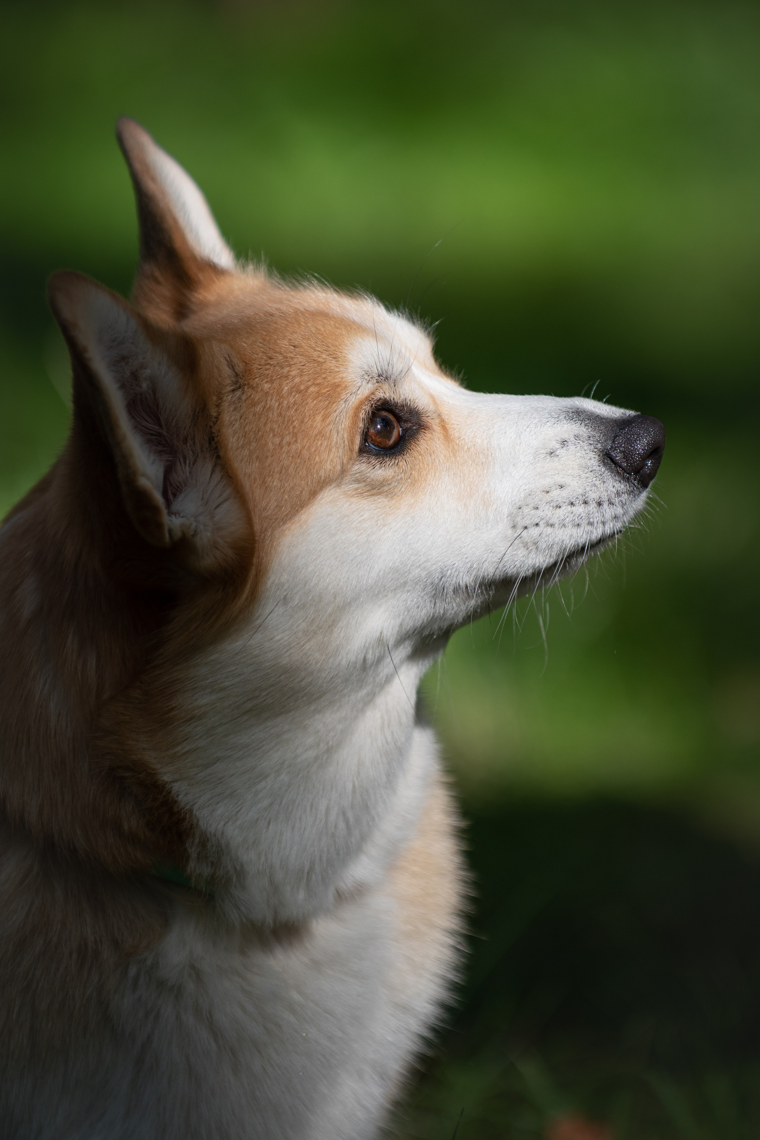 Анастасия Носкова | Фотограф