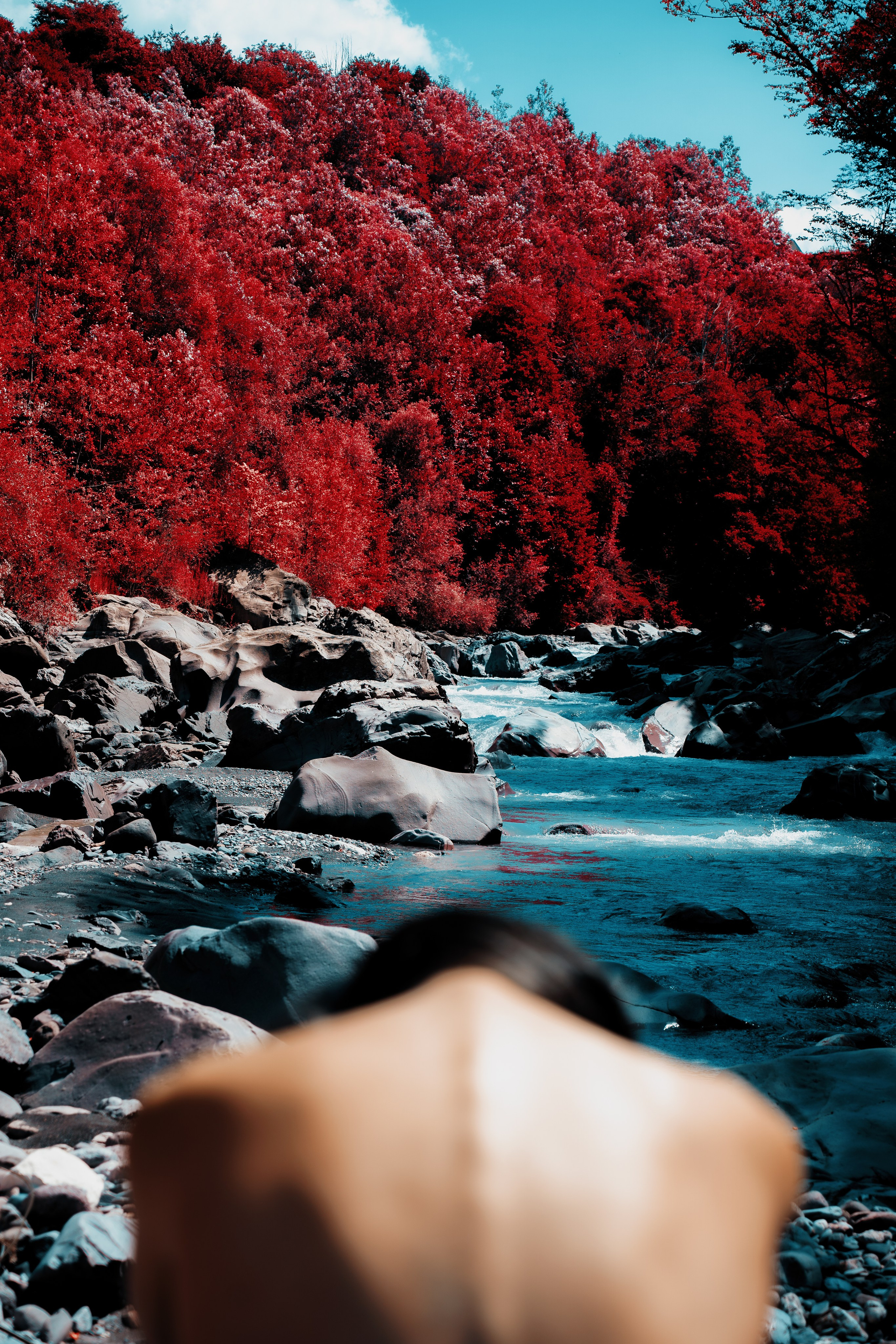 Снимок на фоне реки и леса девушки в расфокусе 