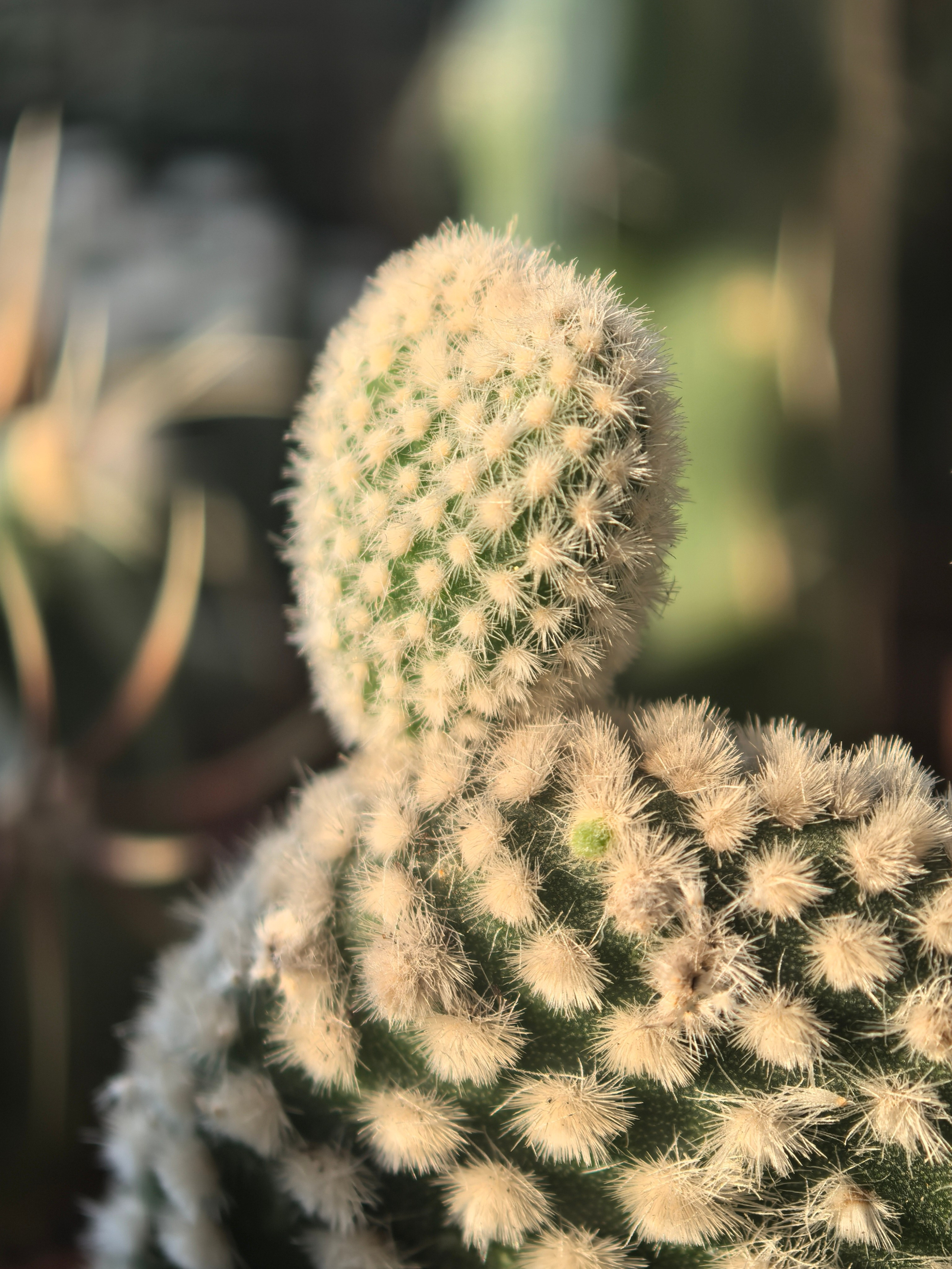 ПочтиМАКРО. Школьные выпускные альбомы в Москве Марина Николаева