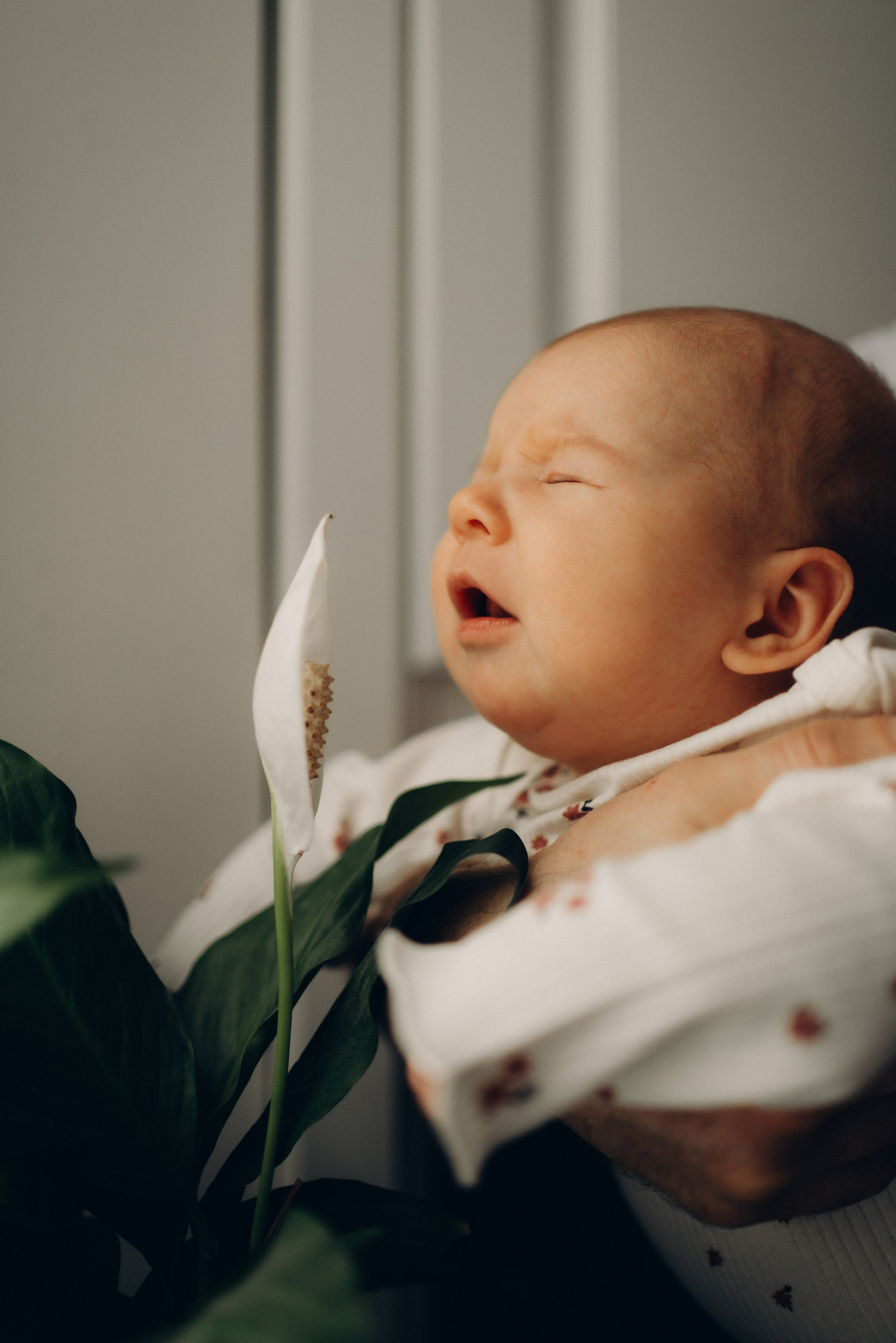 Настя, Антон, Яроша, Агата и Цезарь. Фотограф в Минске — Мария Миллс