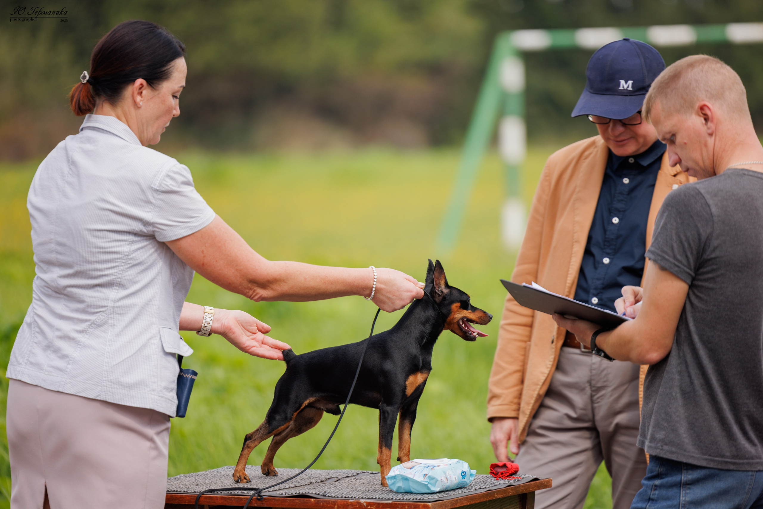 Тверь 10.08.2025. Фотограф-анималист Юлия Германика