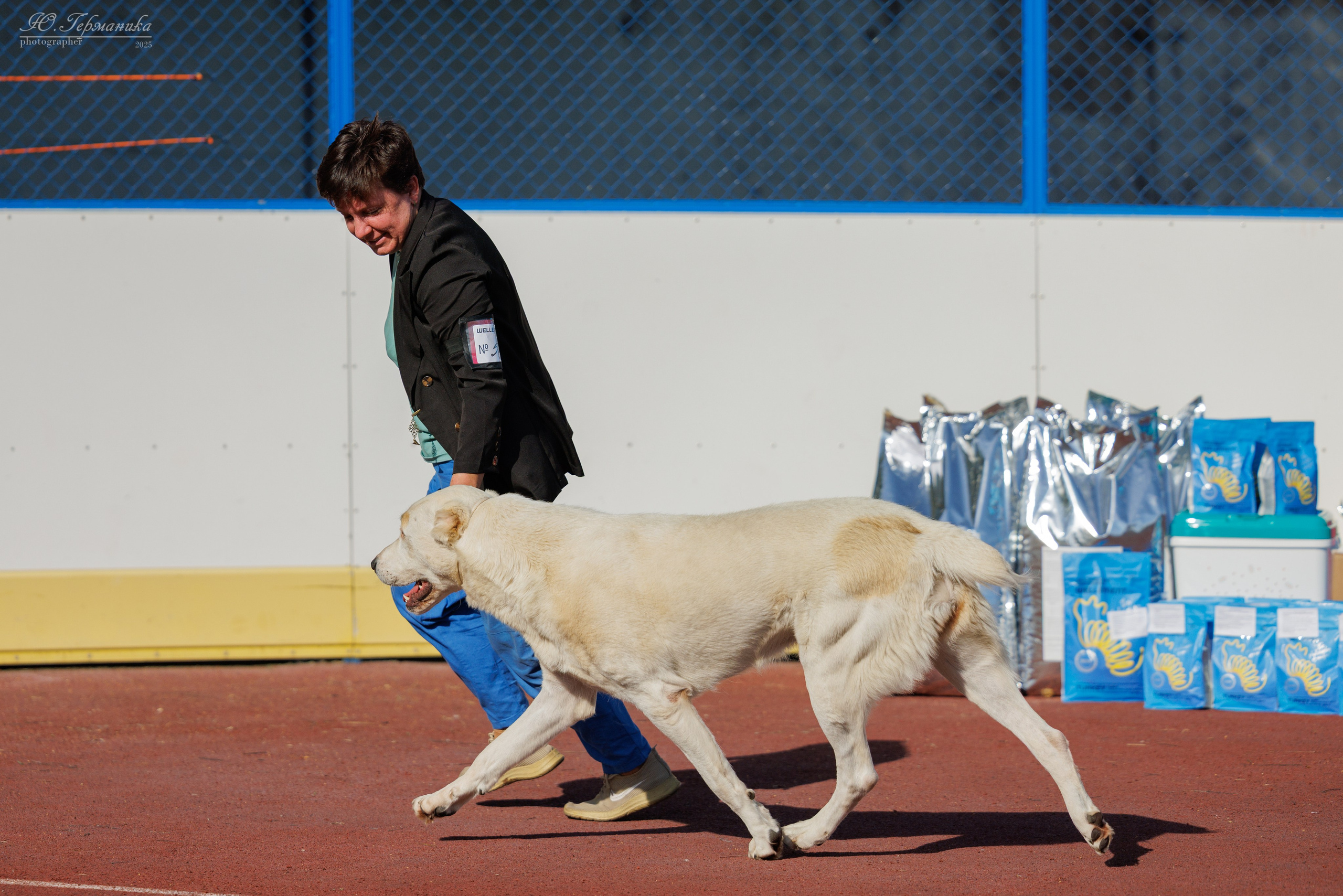 Коломна 30.08.2025. Фотограф-анималист Юлия Германика
