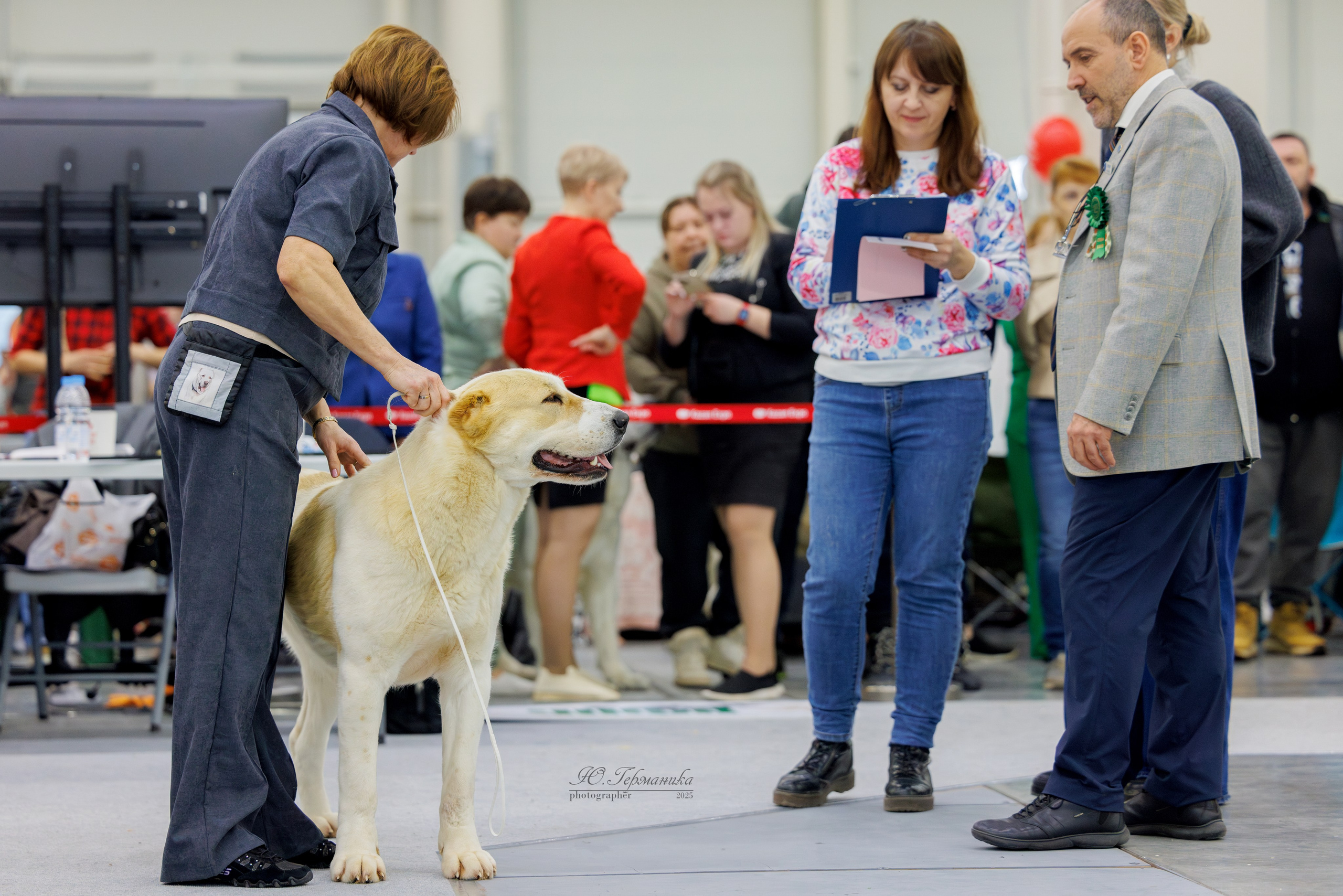Сабанеевка Казань 25-26.01.2025. Фотограф-анималист Юлия Германика
