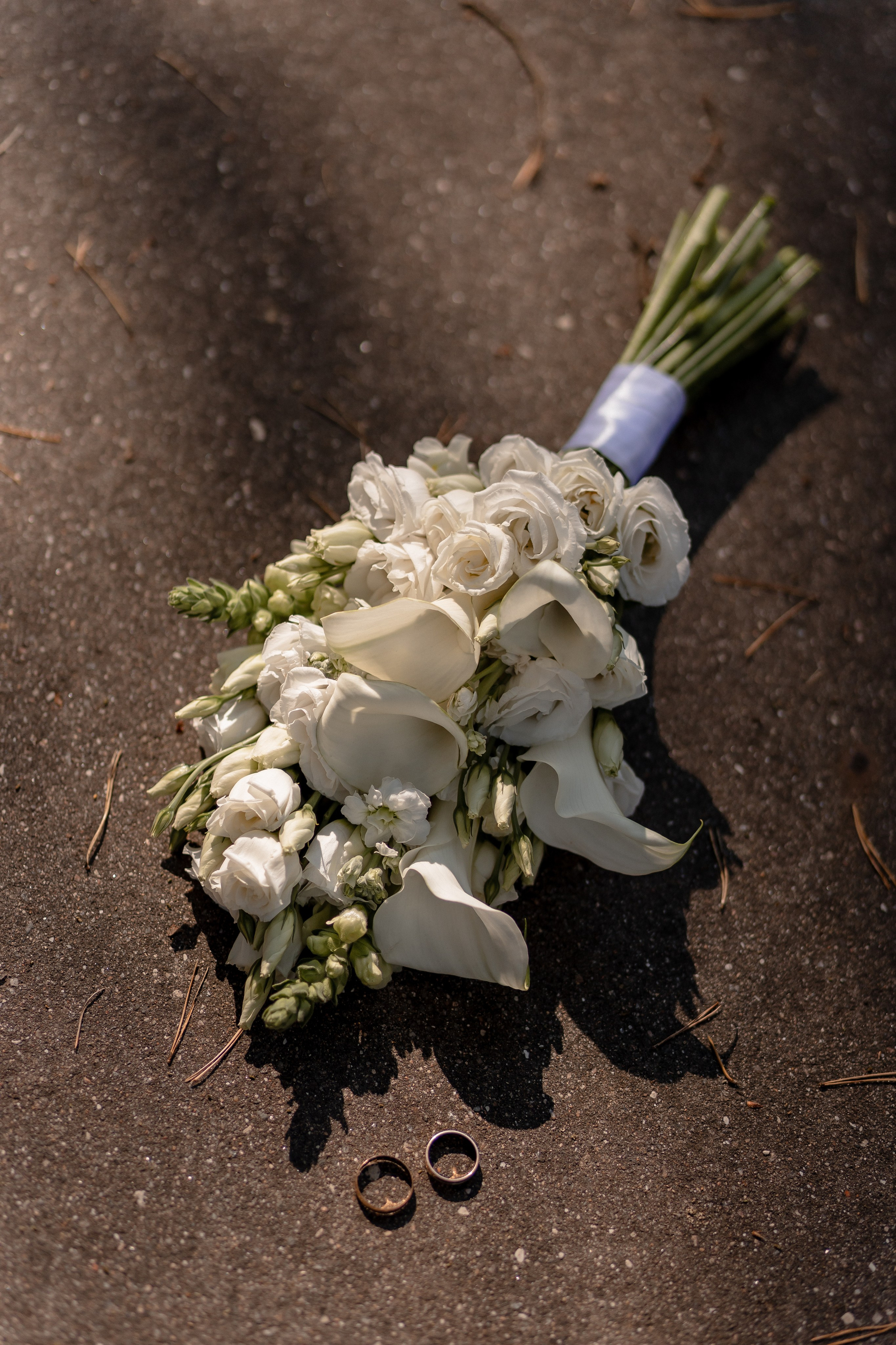 Ксения и Максим. Свадебный фотограф Елена Ловцевич