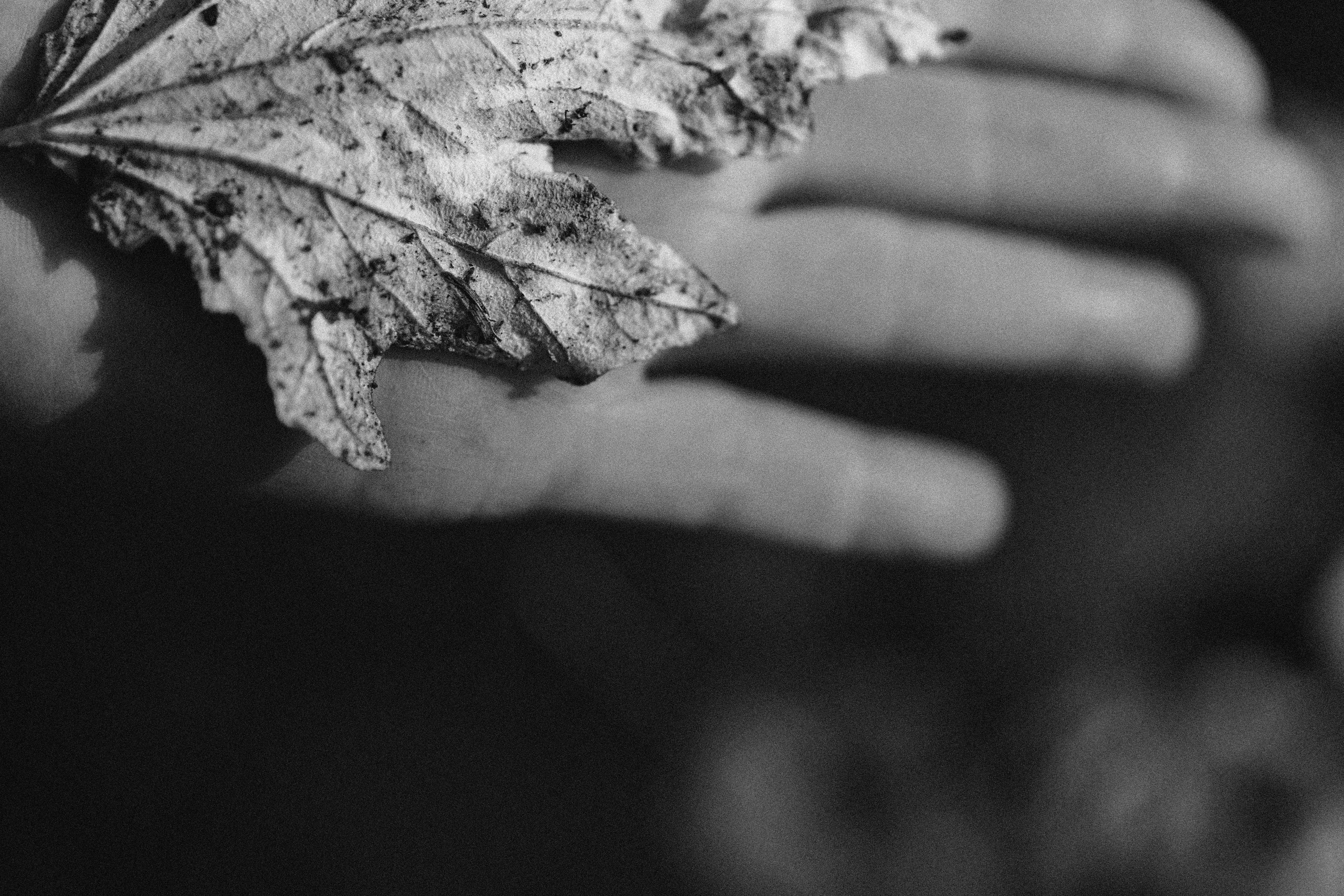 В преддверии. . . История Марины. Виноградова Маргарита. Фотограф P r o Явления