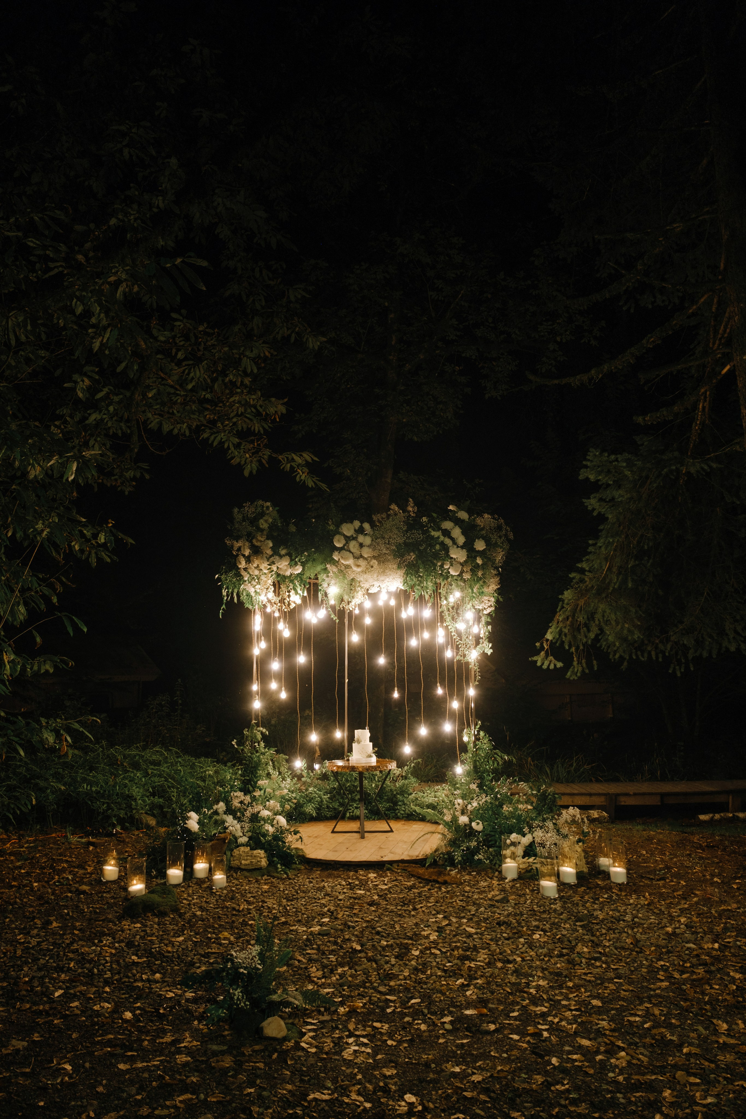 Кот и Дракон. Свадебный Видеограф Фотограф в Сочи