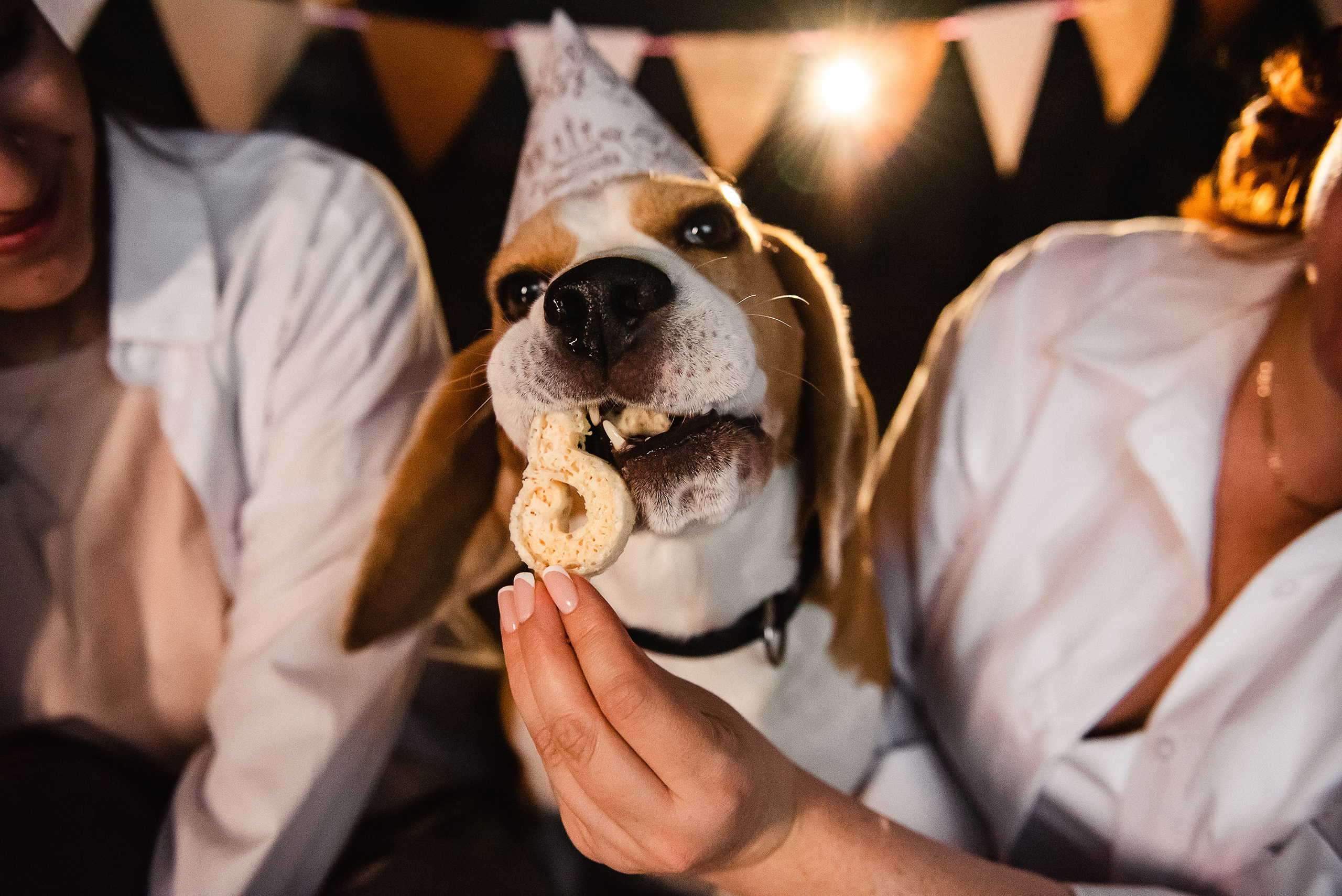 День рождение Дарси. Семейный Фотограф в Москве Ирина Хохлова
