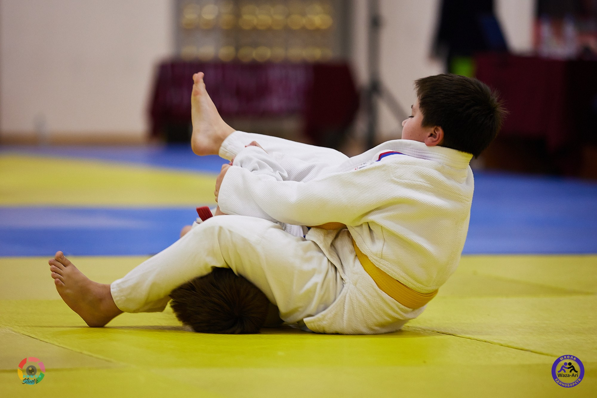 Репортаж Турнир по дзюдо. Спортивный фотограф Некрасов Денис