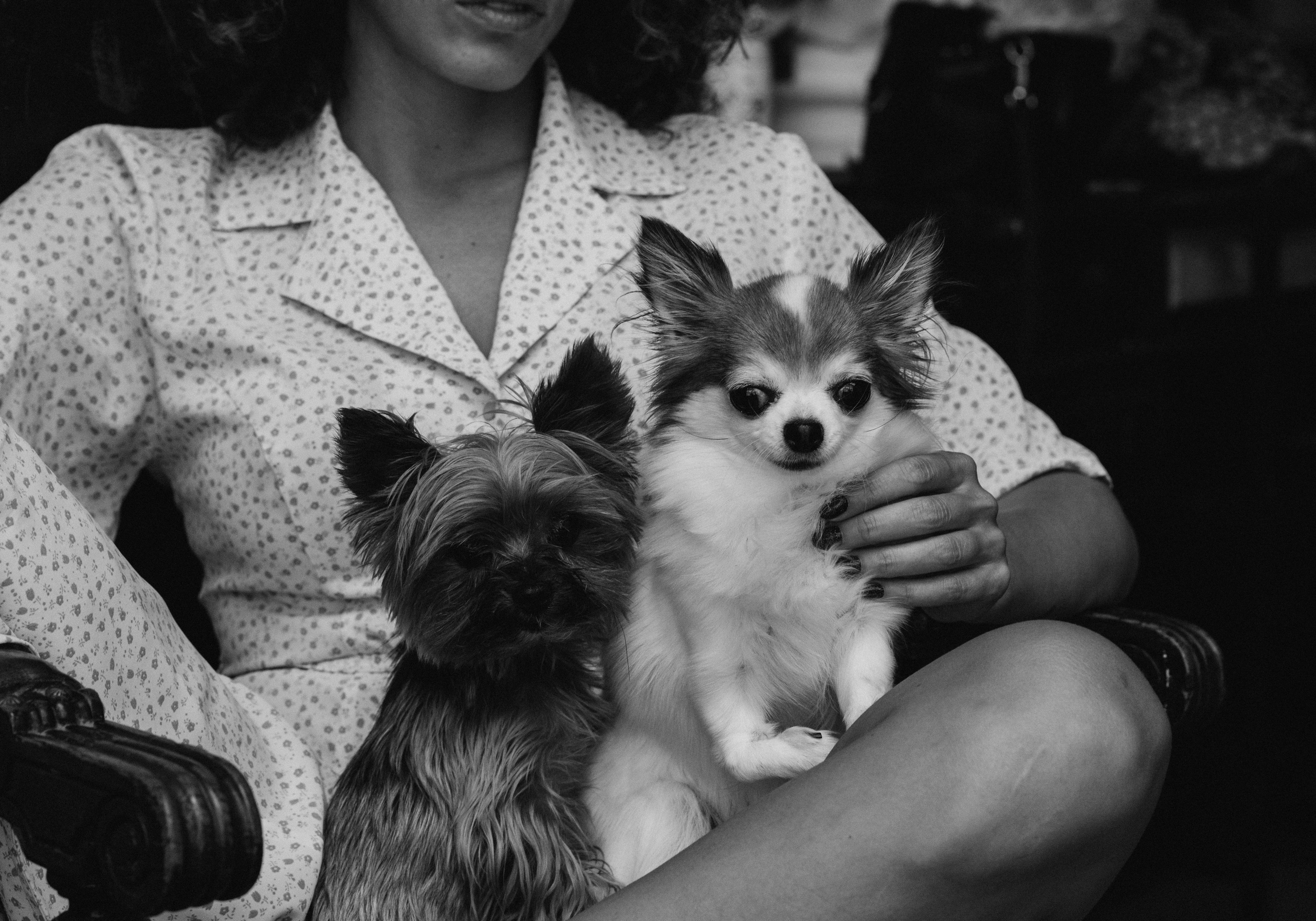 Габриела и ее хвостики. Татьяна Афонина | Фотограф