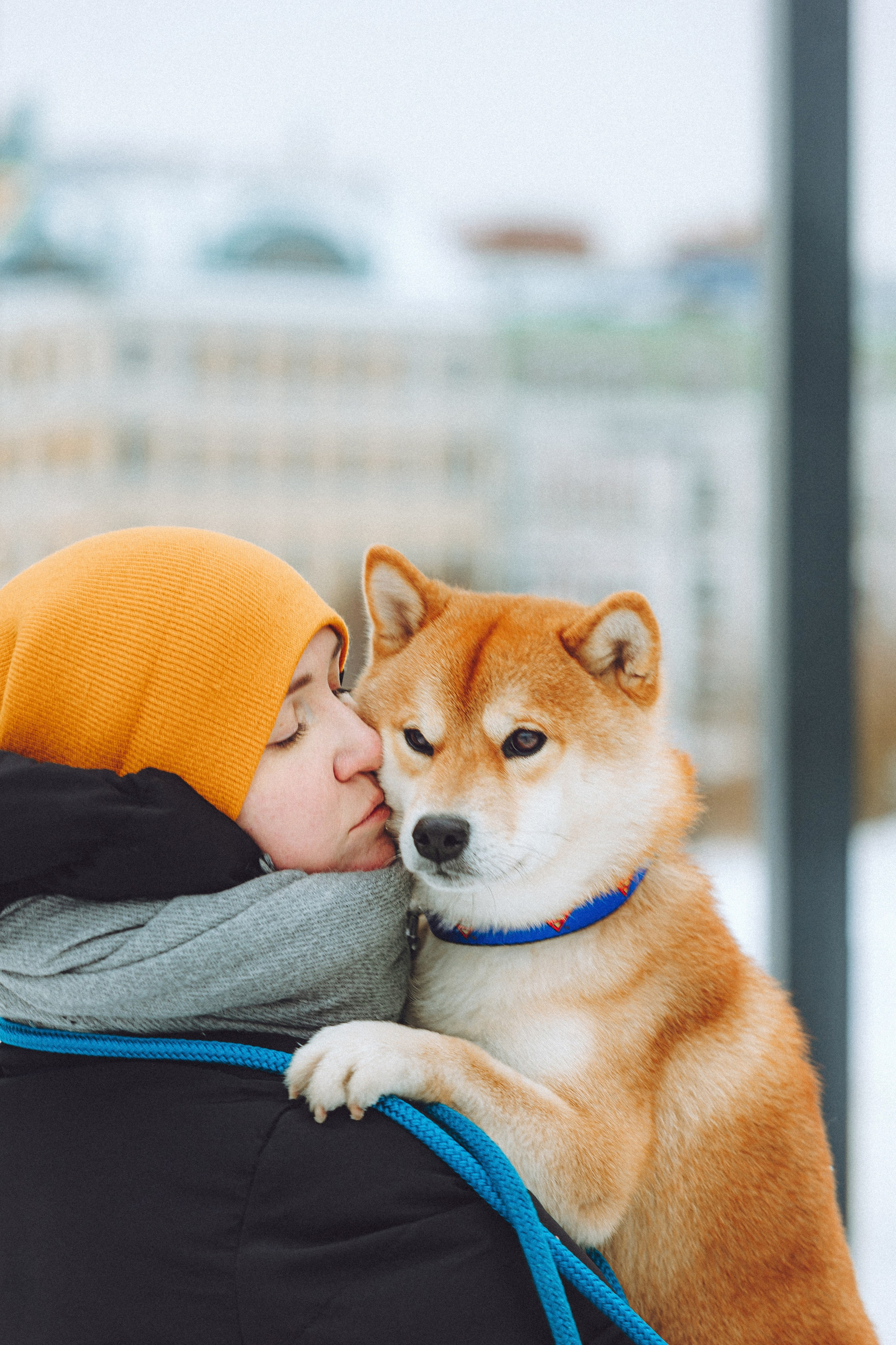Настя и Ронин