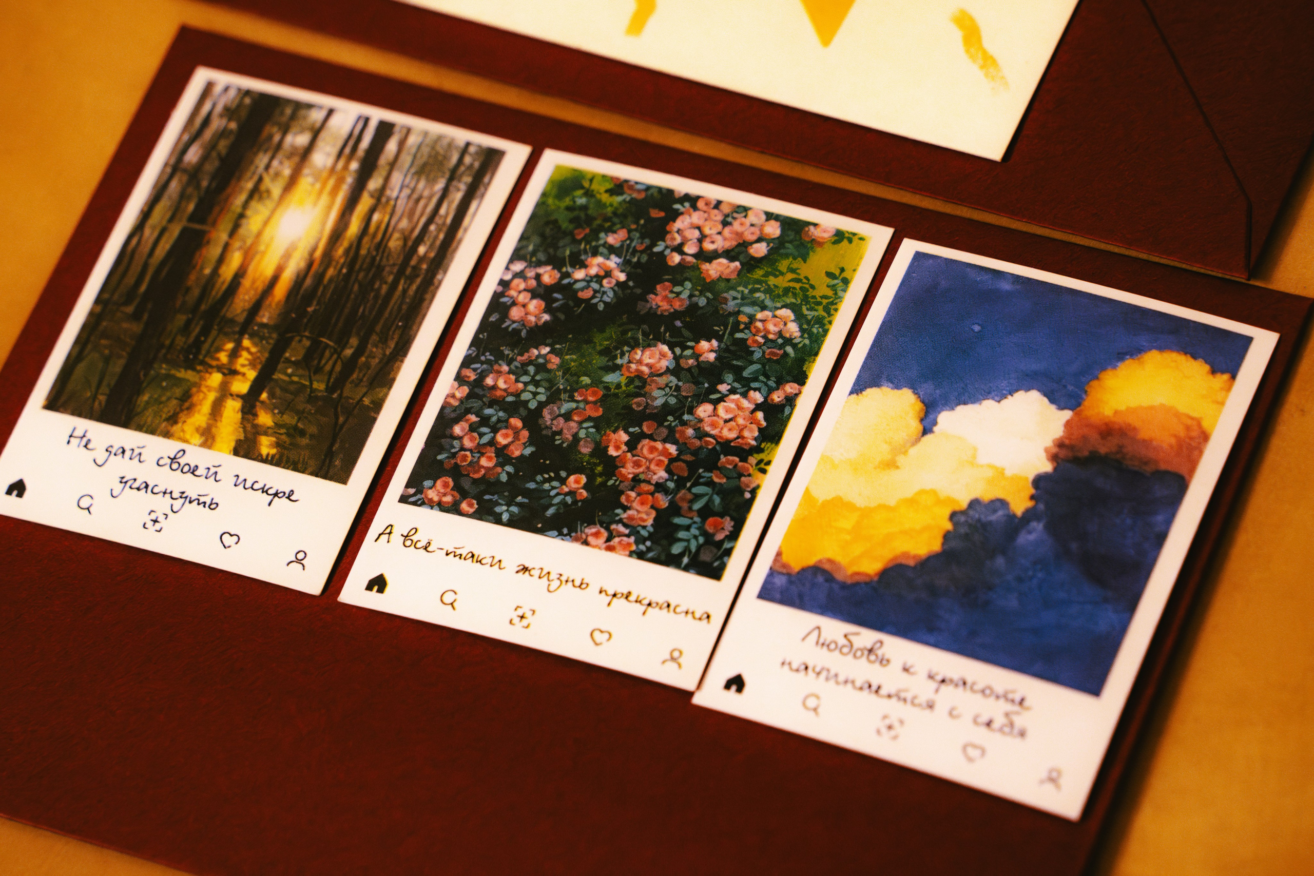 Услуги и стоимость. Фотограф и видеограф Арина Семёнова