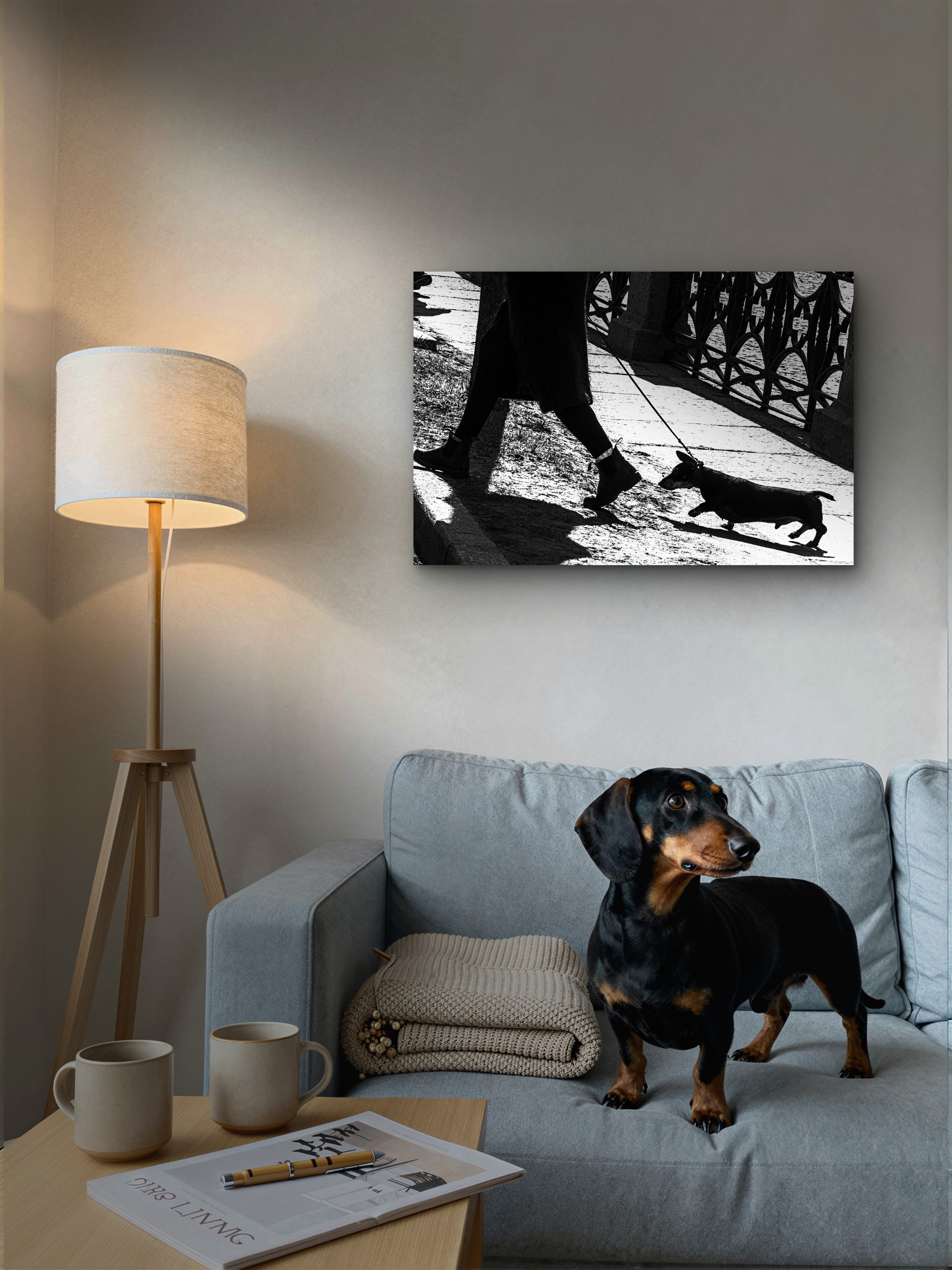 Order. Dimitri Bakhtadze photographer