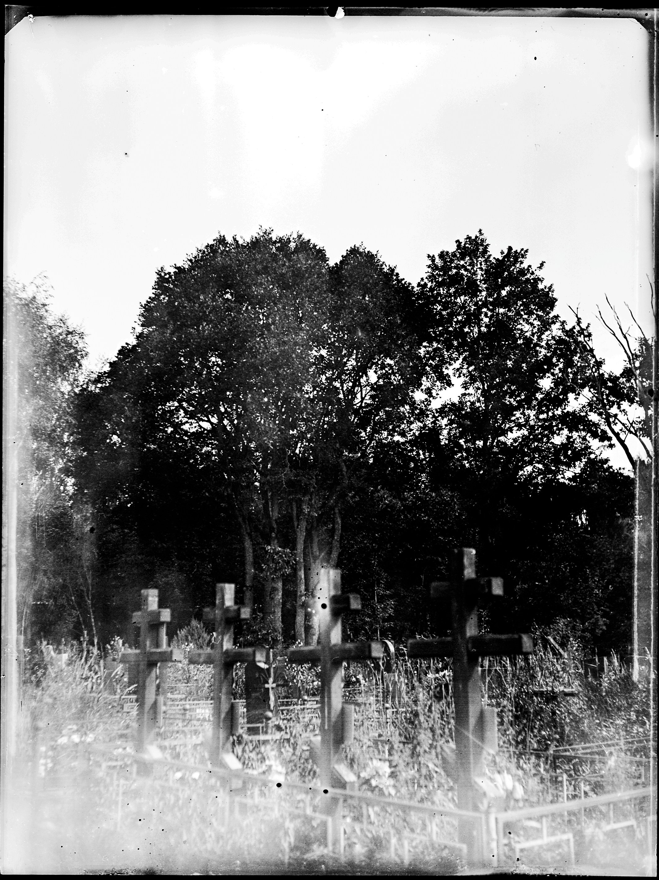 Glass plates. Darkroom aesthetics