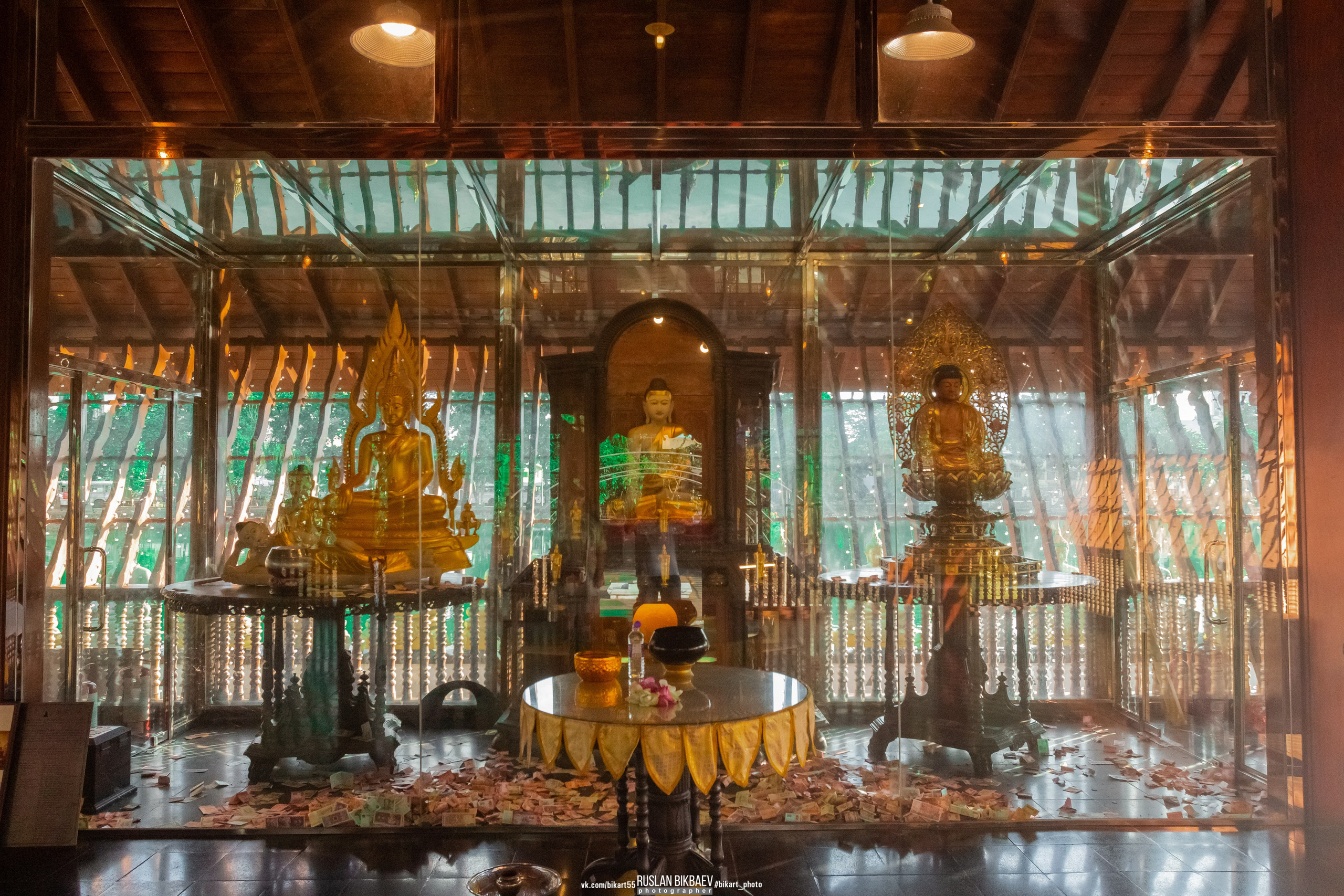 ШРИ-ЛАНКА 2025 / SRI LANKA 2025. Главная