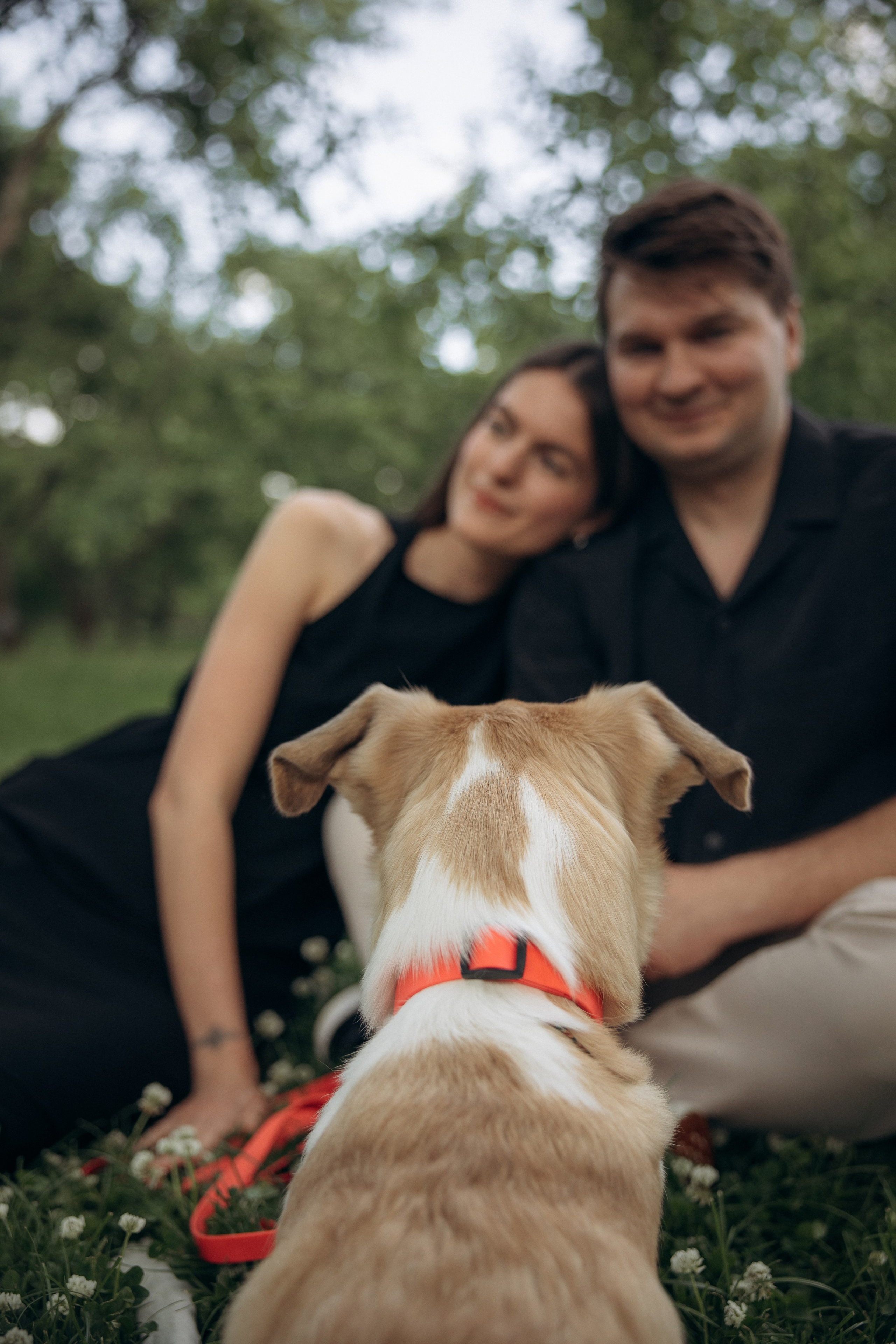 Парк Коломенское. Михаил, Анастасия и Ума. Фотограф анималист в Казани Алина Сулейманова. Фотограф животных