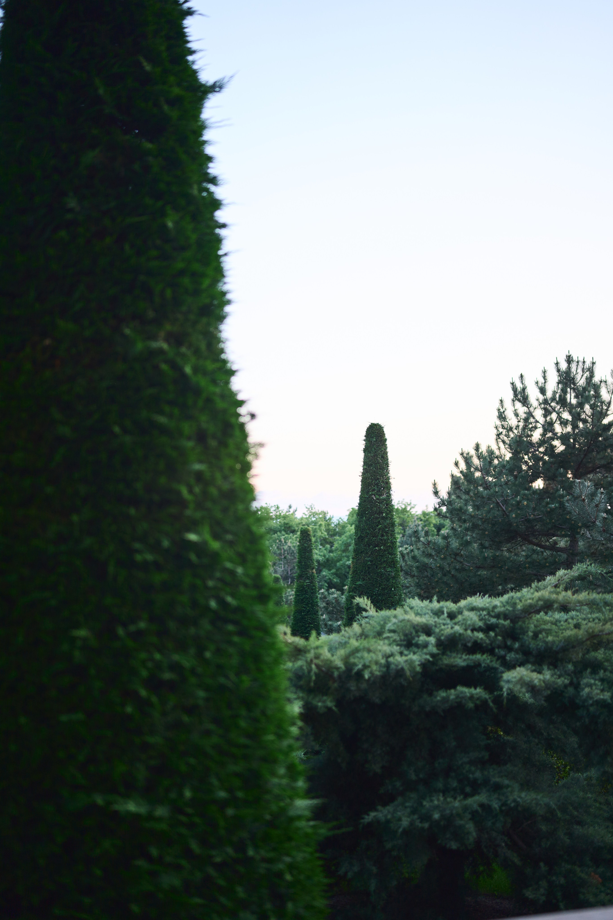 Отель Mriya Resort & Spa. Фотограф Олег Сотник