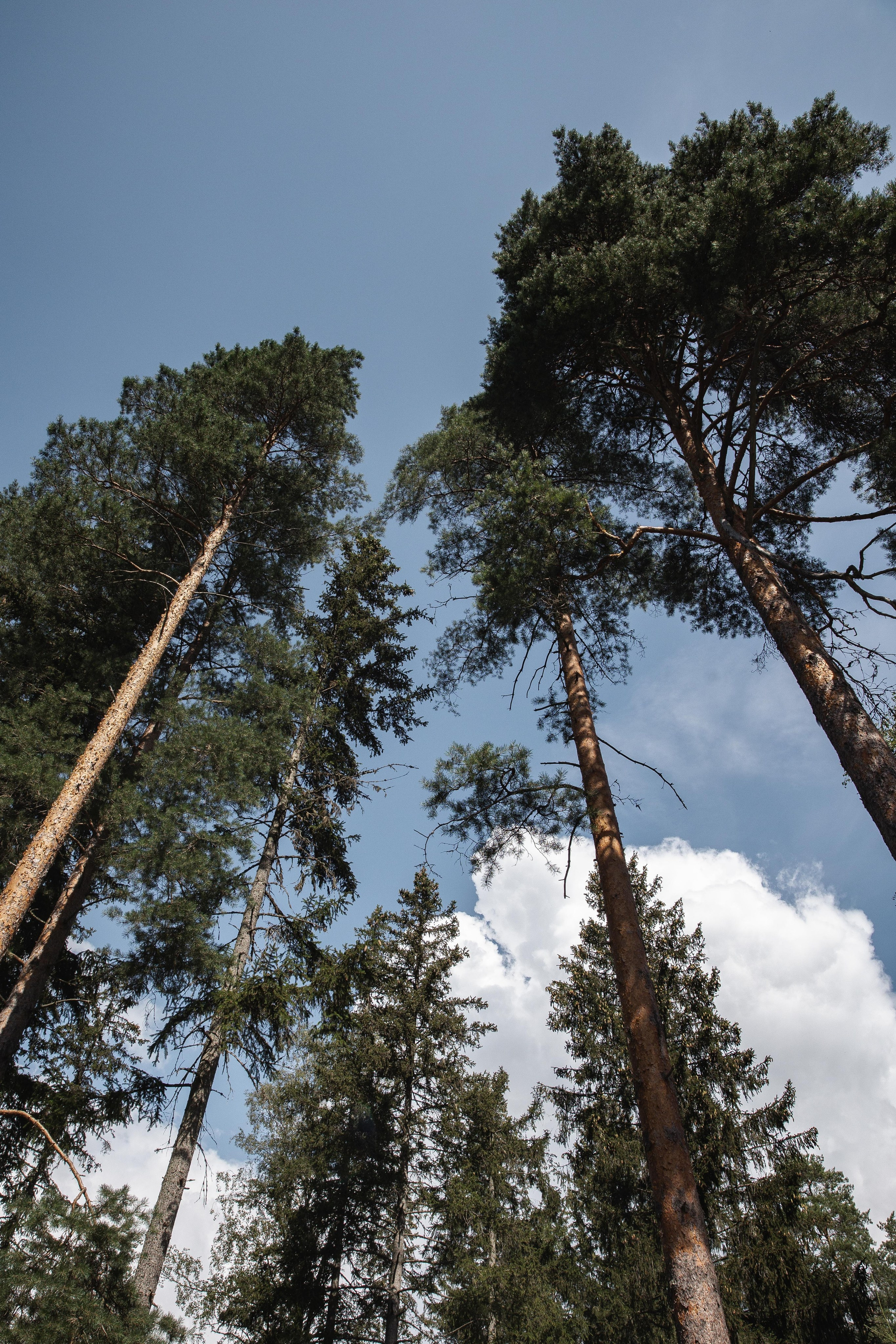 K & О. Свадебный фотограф Юлия Шторм