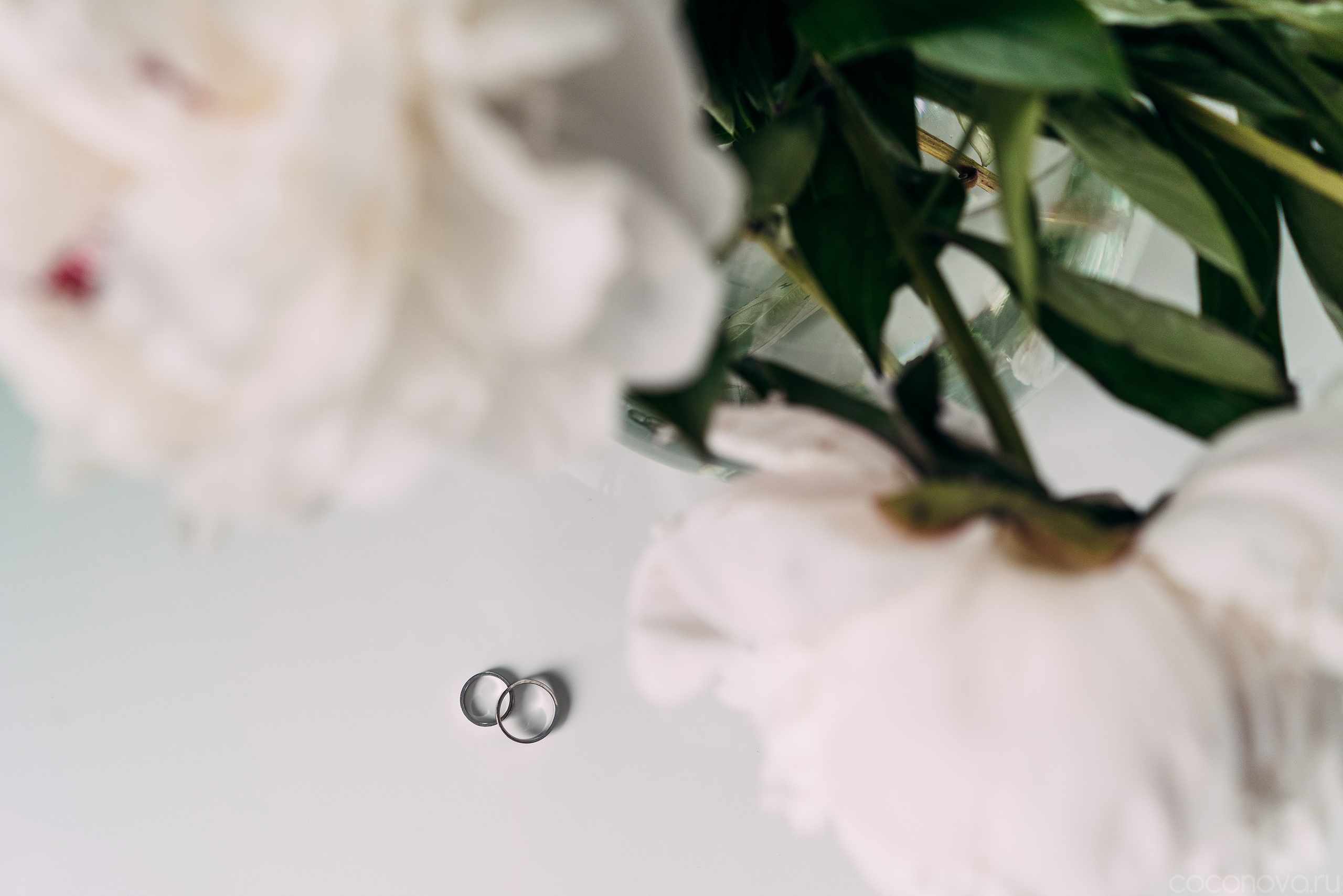 Cafe Sreda. Valeria Coconova Photographer Italy Como Milan