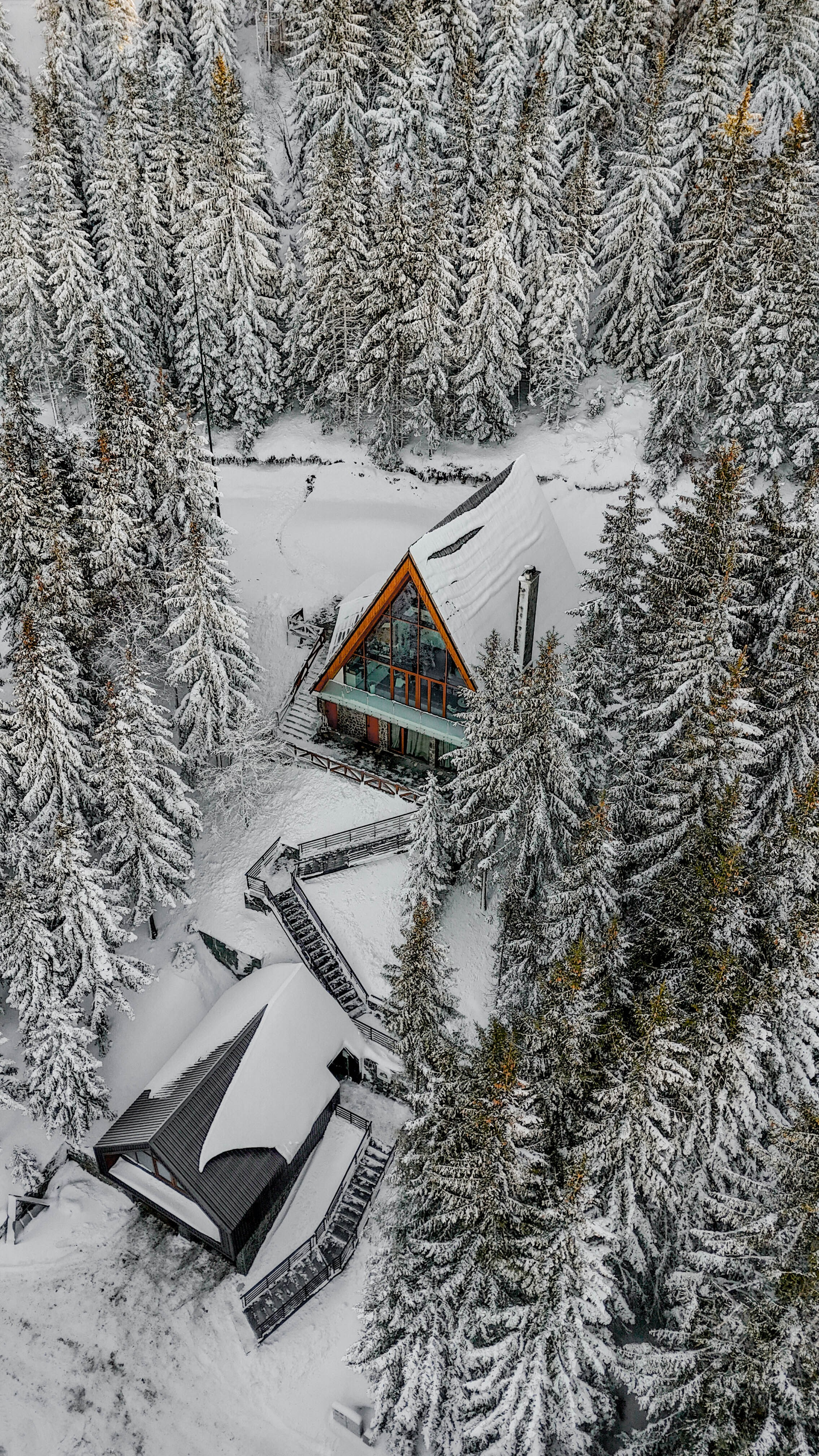 Sofia Kop. Photographer Liana Sudets Serbia Kopaonik Brzece Brus