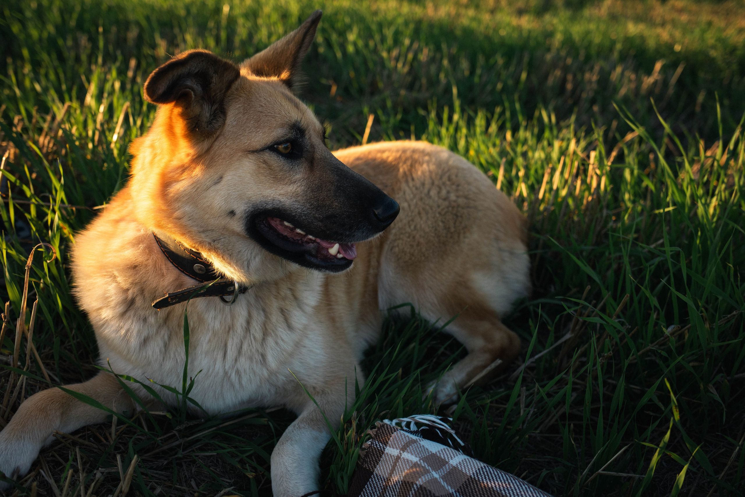 Альбом2. Фотограф Мария Сургаева | Профессиональная фотосъемка в Москве