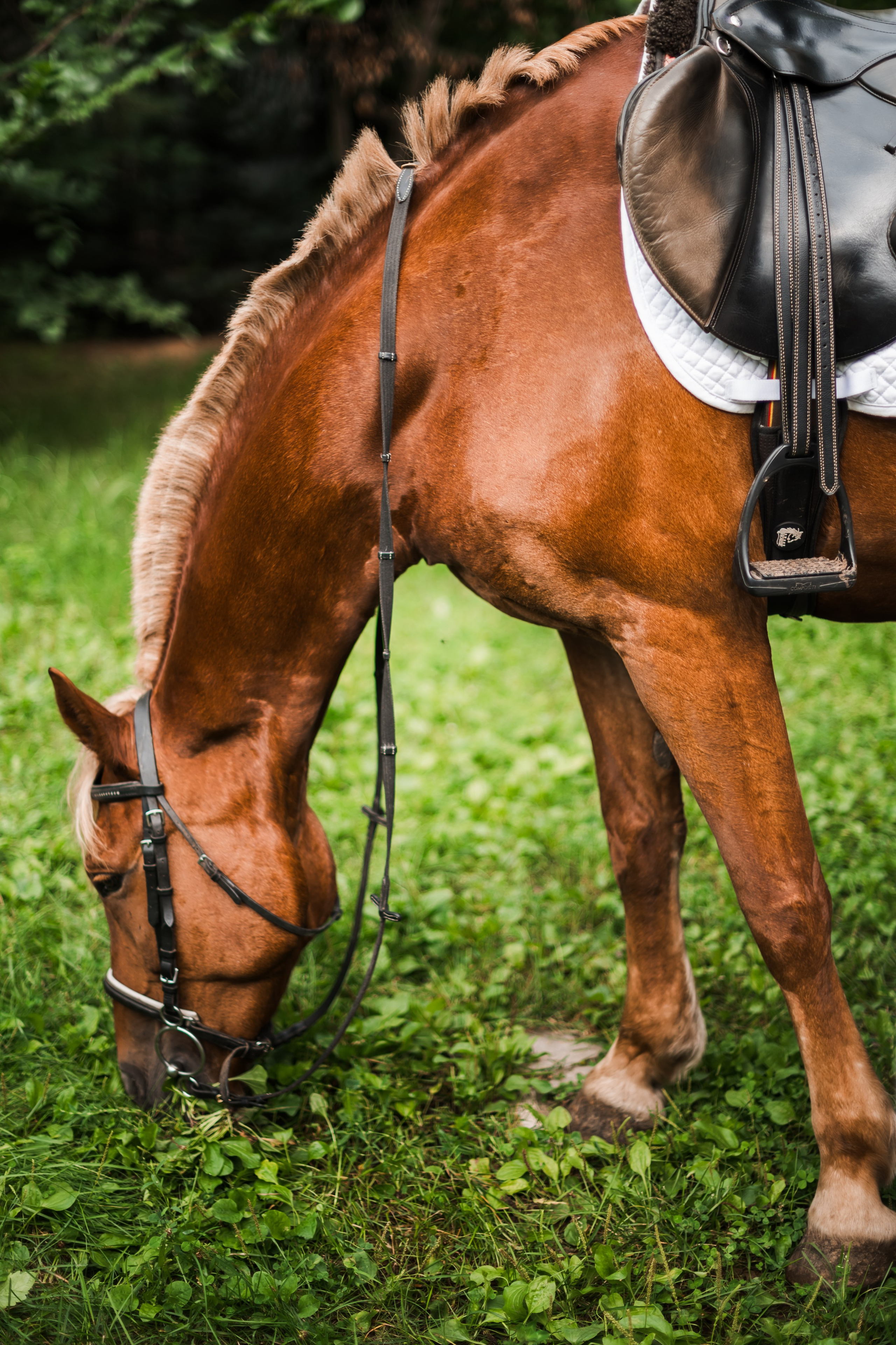 Ульяны и Георгия. Организация свадеб под ключ в Раменском
