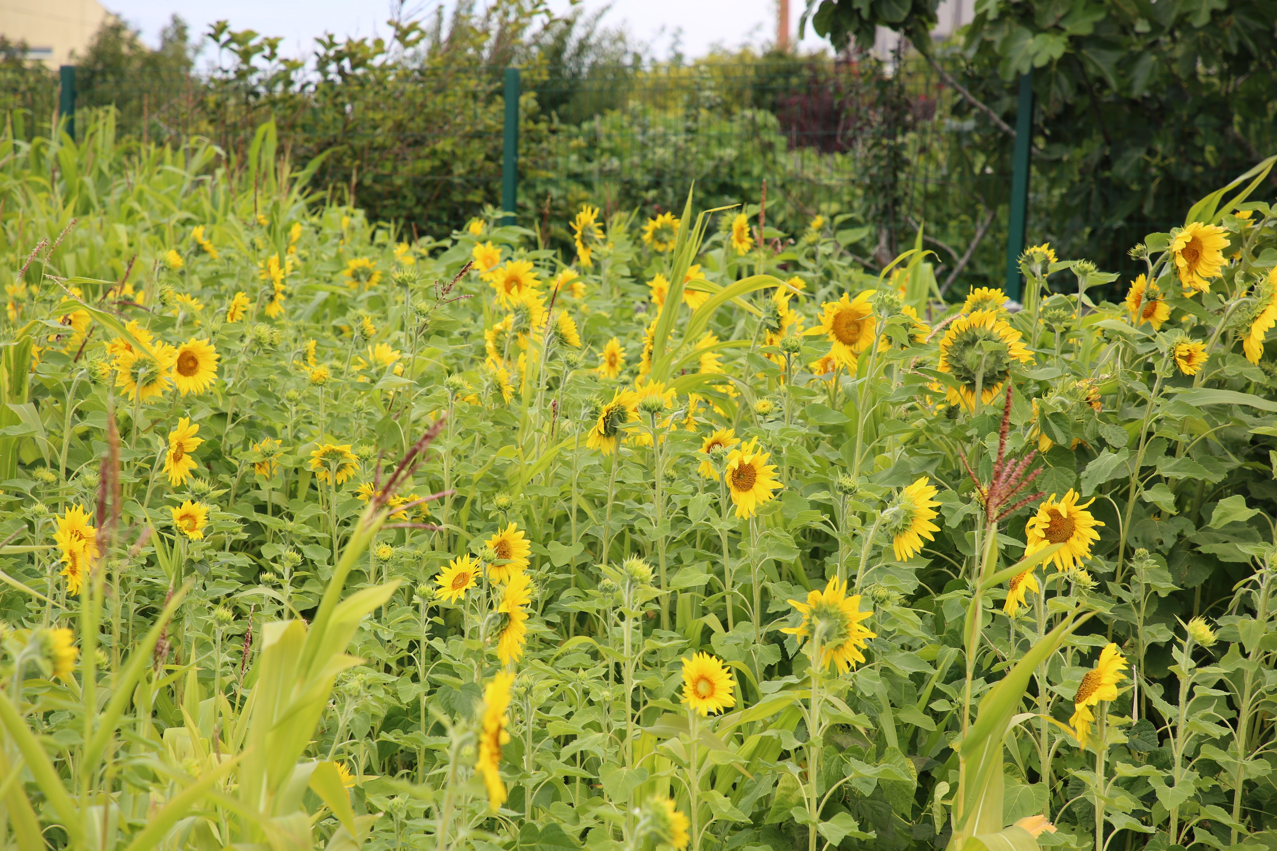 Esmoriz, Portugal. Andrey Filippov Photographer