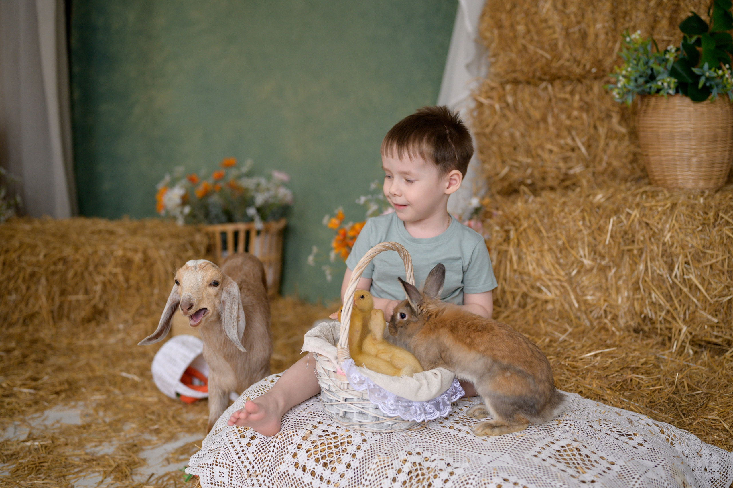 Фотостудия «Рояль» зал «Графика». Фотограф новорожденных, семейный детский в Тюмени Татьяна Морозова