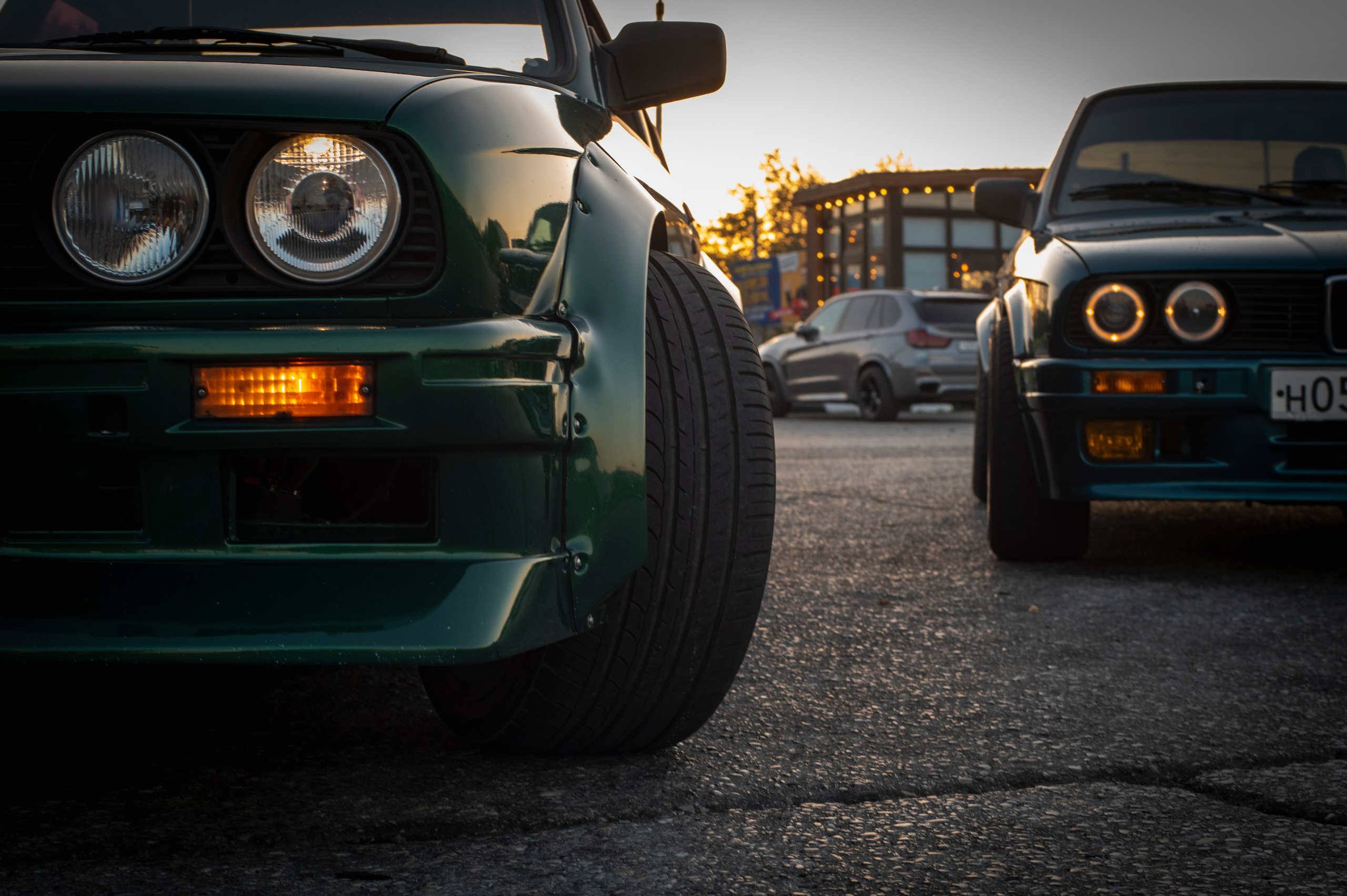 БМВ & Доберман. Фотограф Роман Адлер