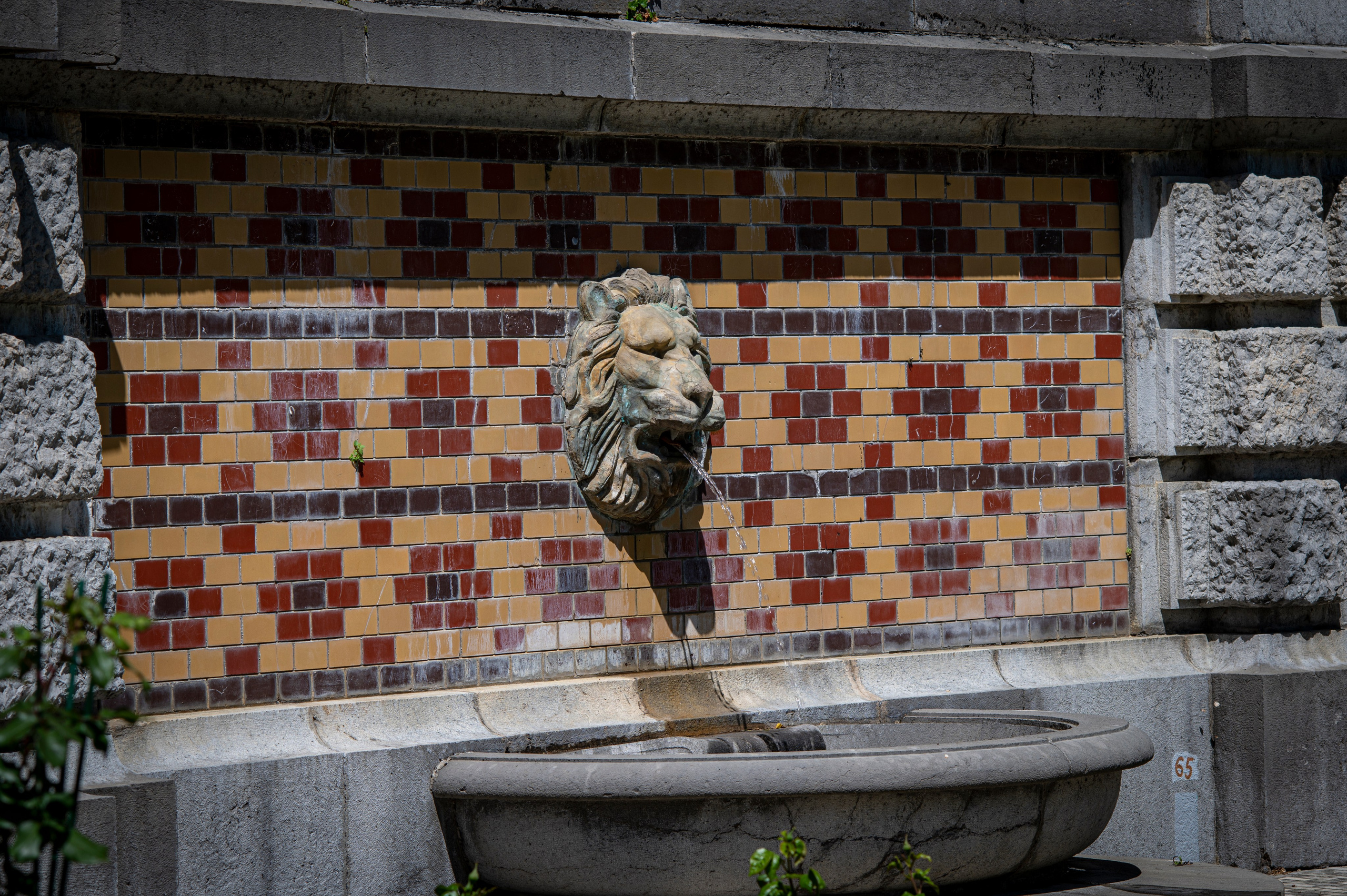 Крым май 2022. Фотограф Роман Адлер