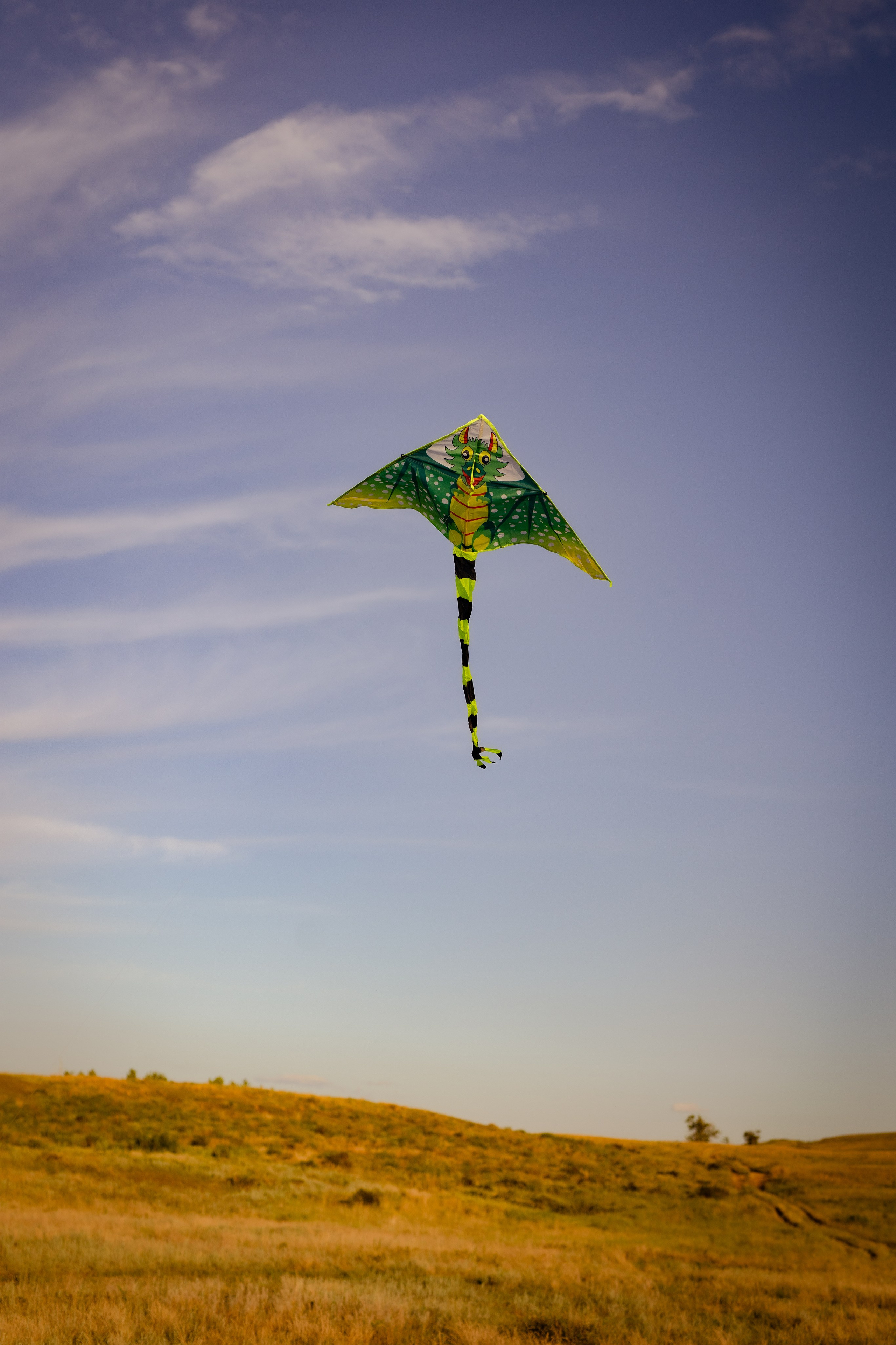 Летняя. Свадебный и женский фотограф