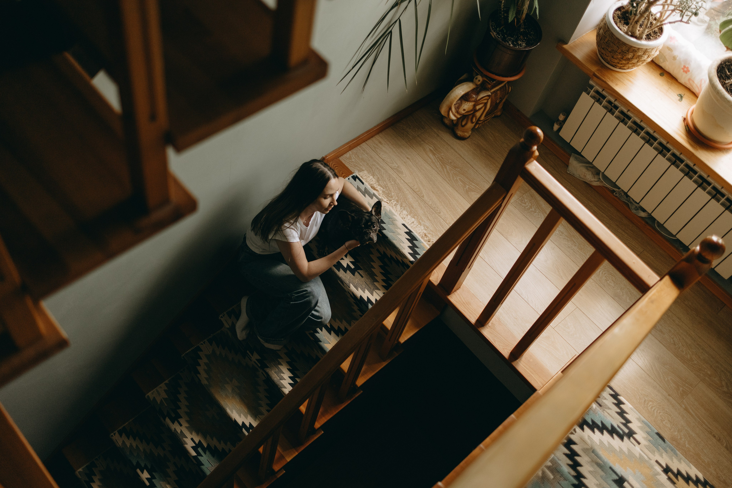 Софа и ее хвостики. Фотограф — Анималист | Санкт-Петербург