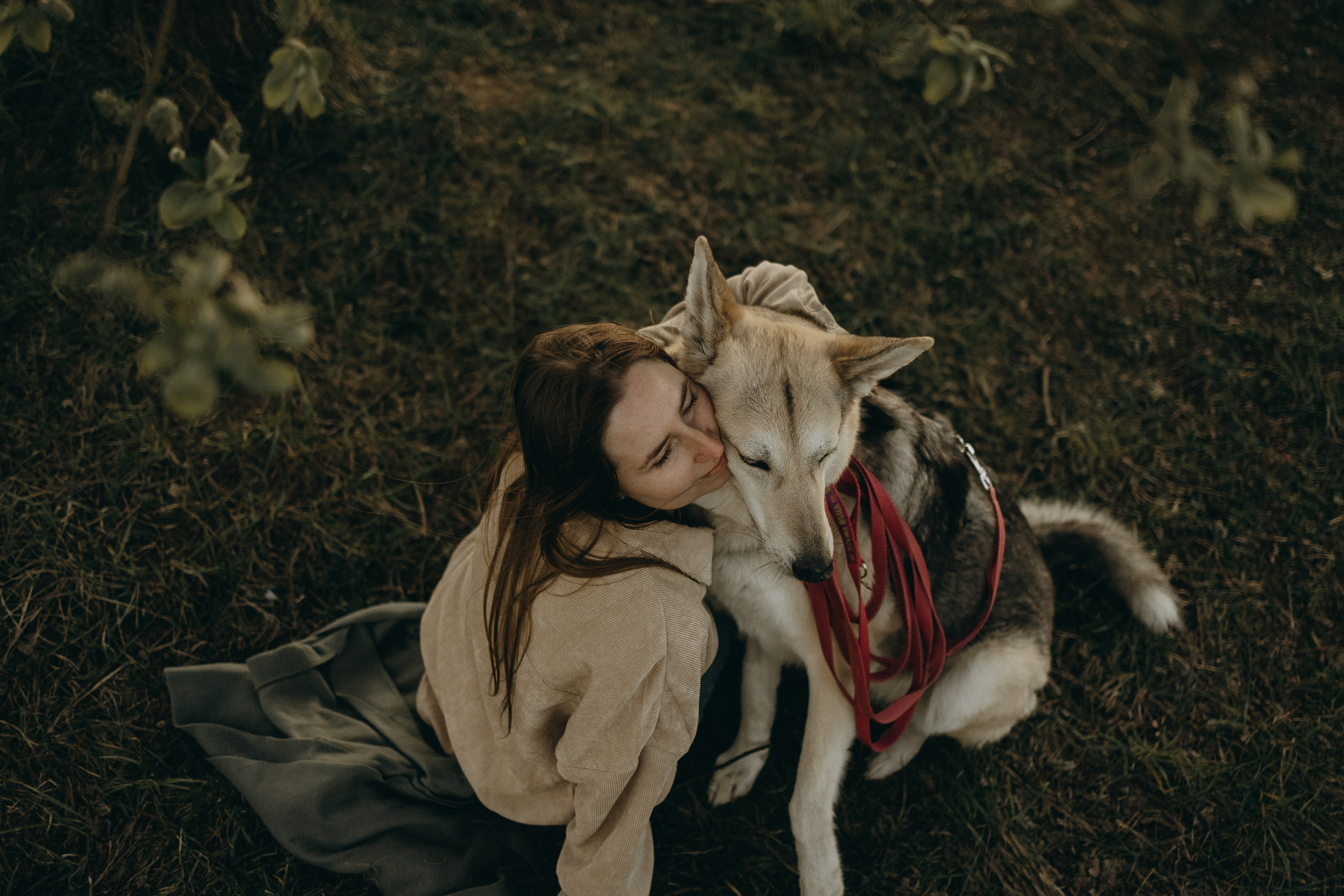 Саша и Зельда. Фотограф — Анималист | Санкт-Петербург