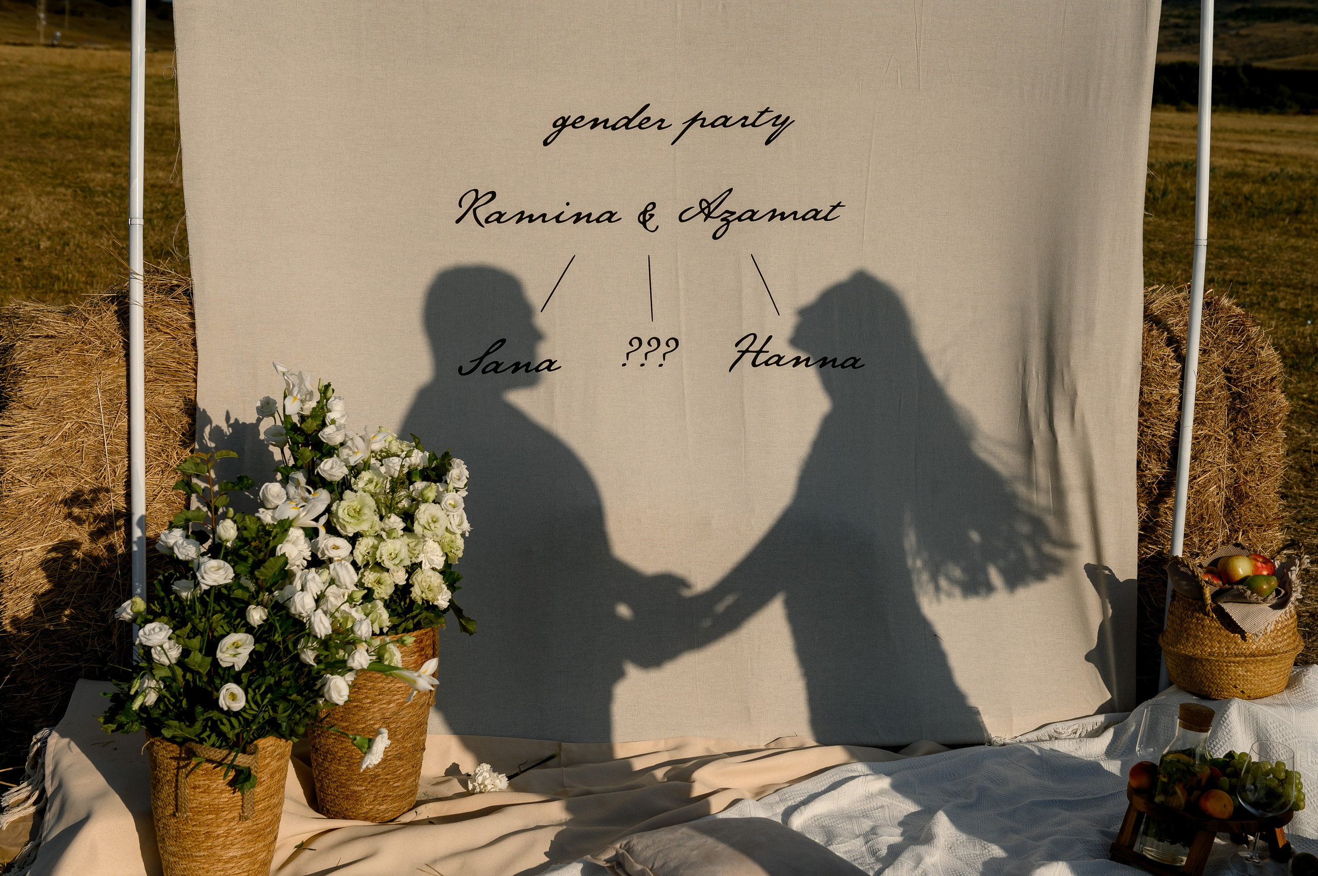 Гендер Пати за городом. Свадебный и семейный фотограф в Ставрополе Роман Иванов