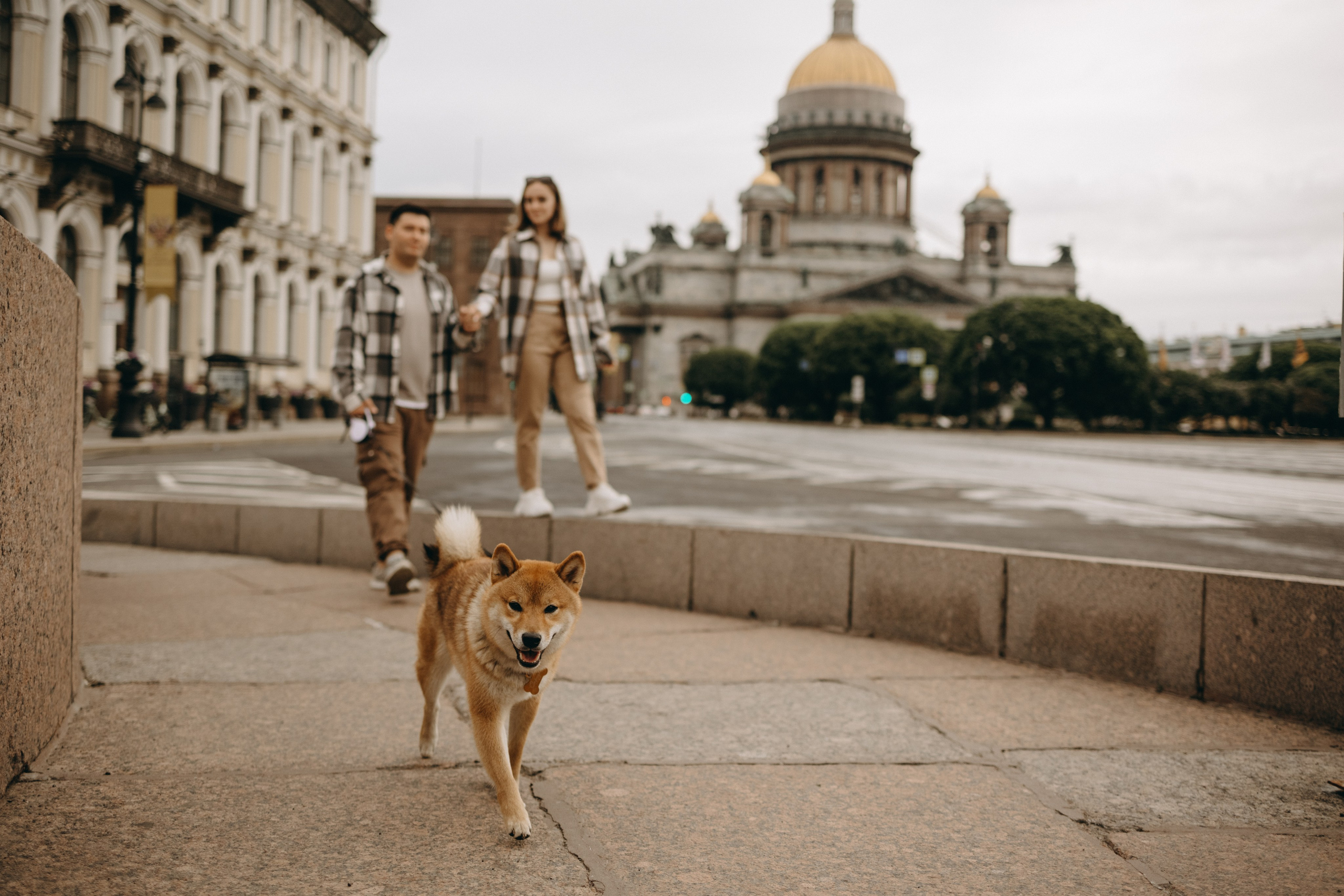 Сириус и его семья. Фотограф — Анималист | Санкт-Петербург