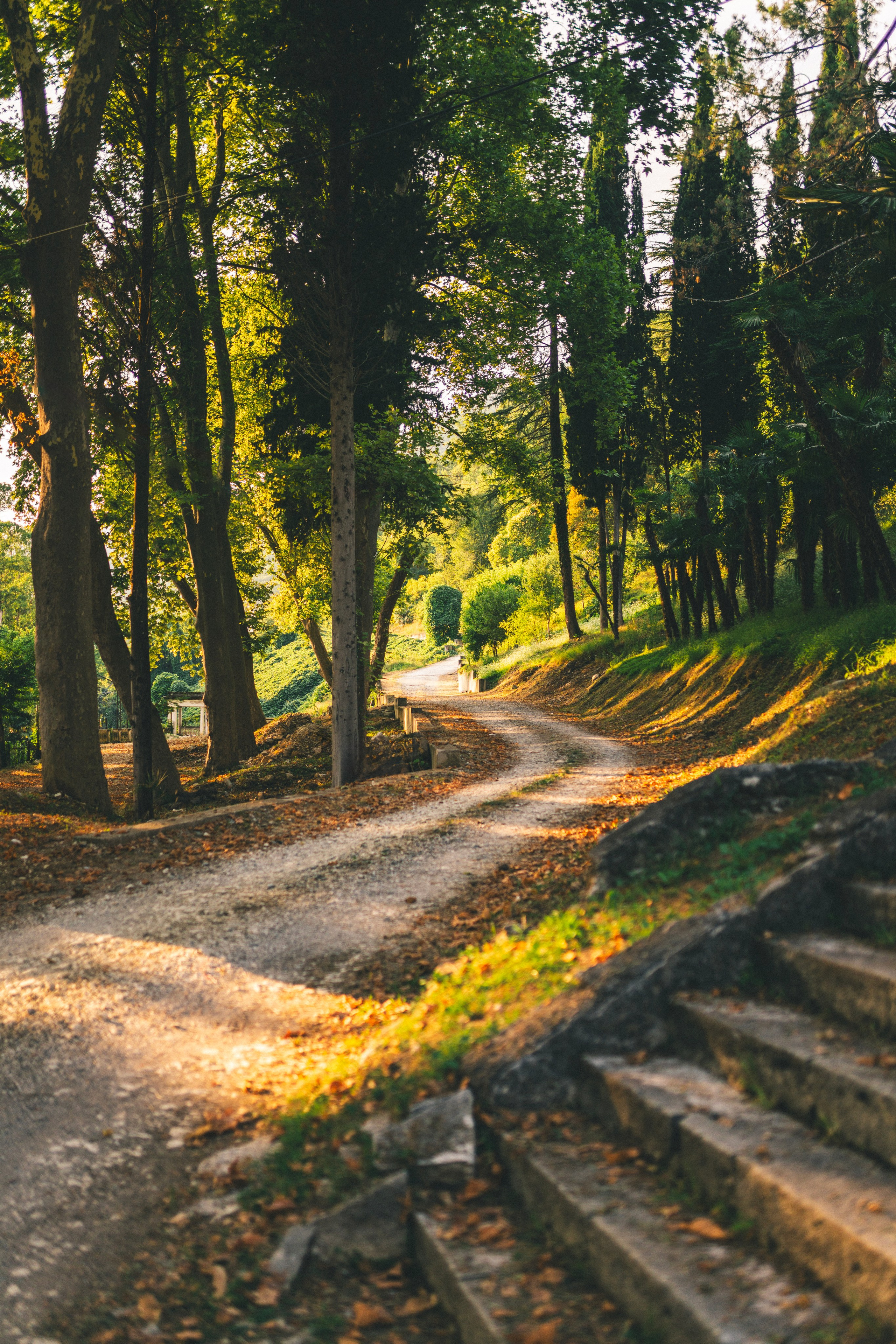 Отель Юпшара. Главная