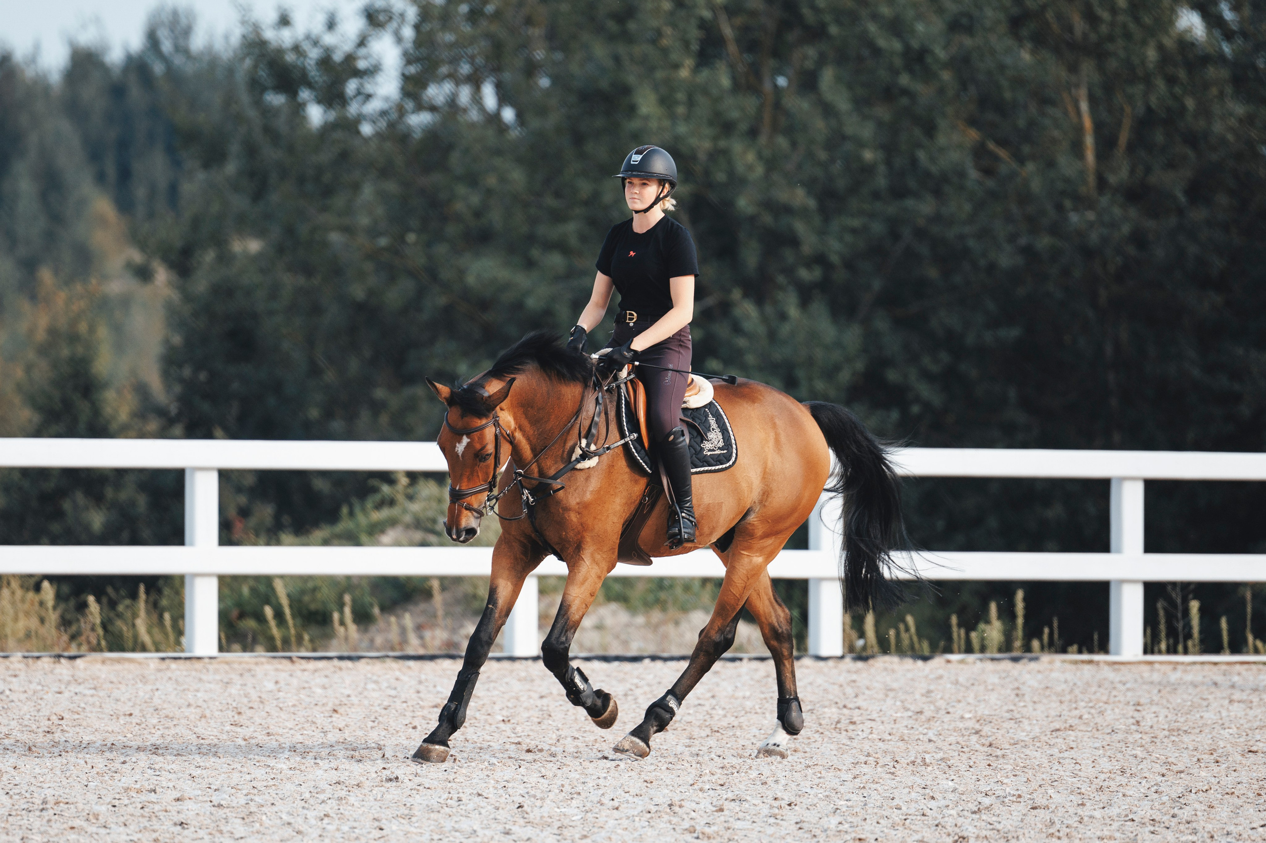 Конкур. Фотограф-анималист Анна Маринич