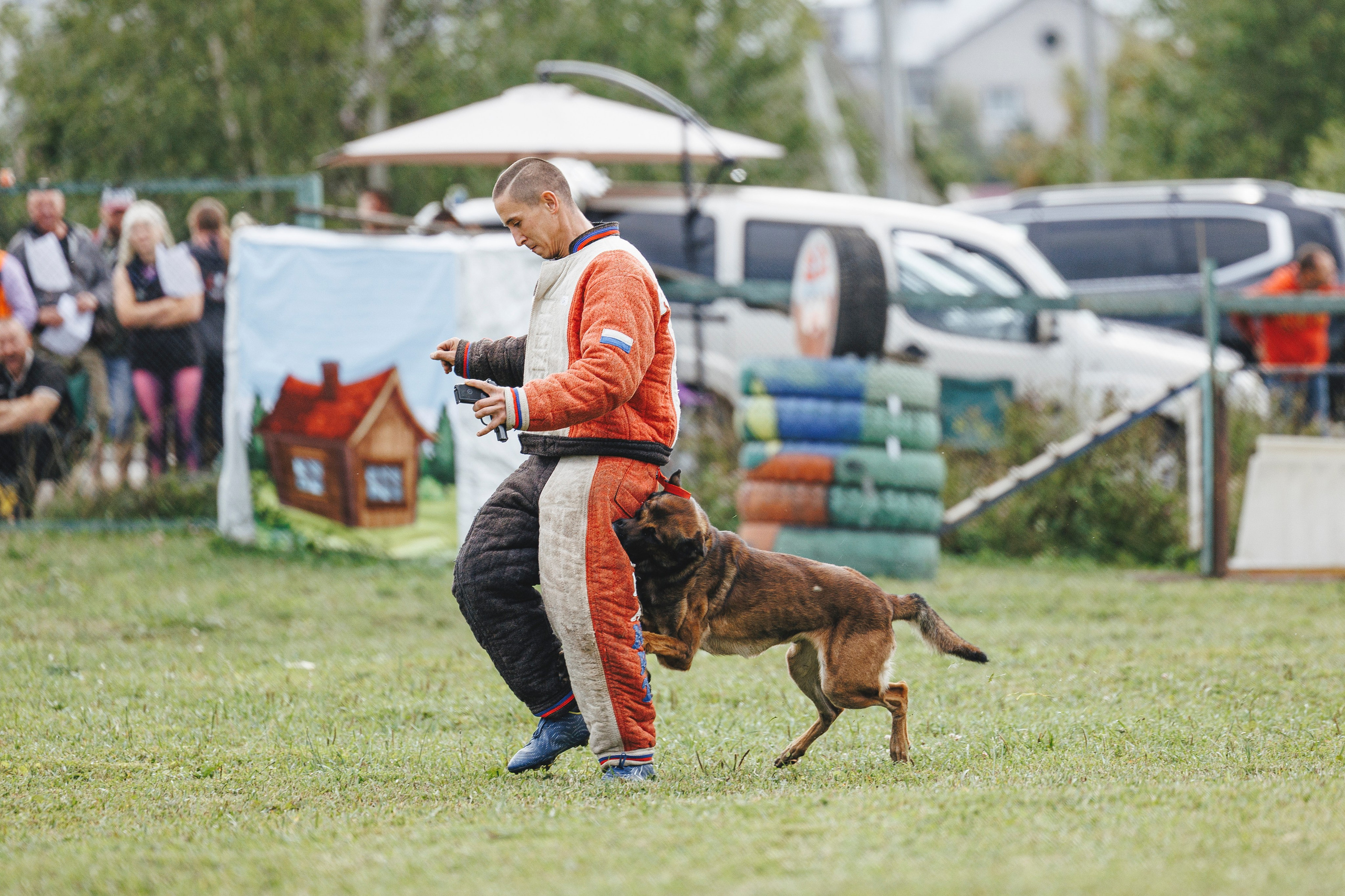 08.08.25-10.08.25 ЧР по мондьорингу г. Вологда. Фотограф-анималист Анна Маринич