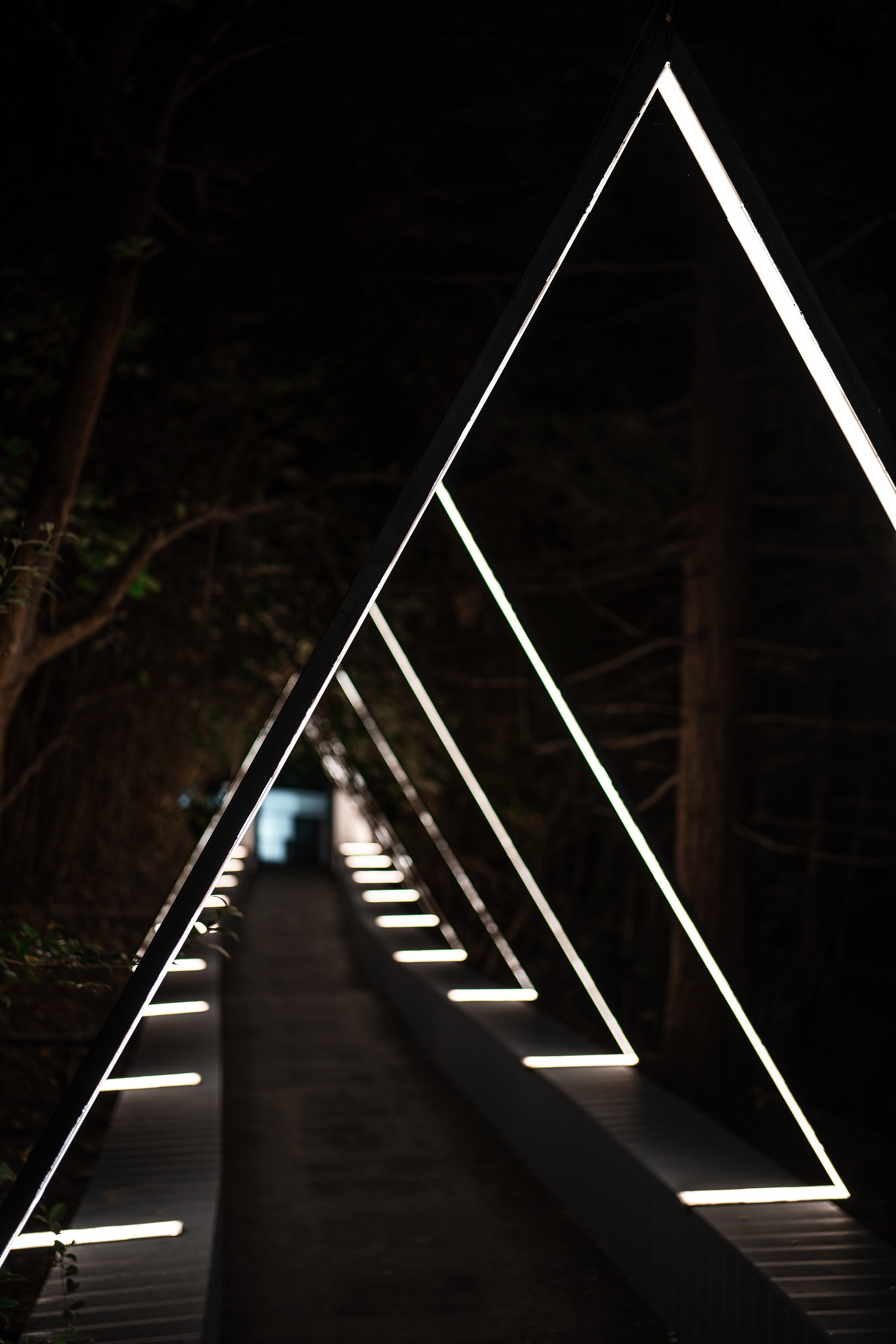 Ресторан Атлас Сочи. Фотограф Сочи