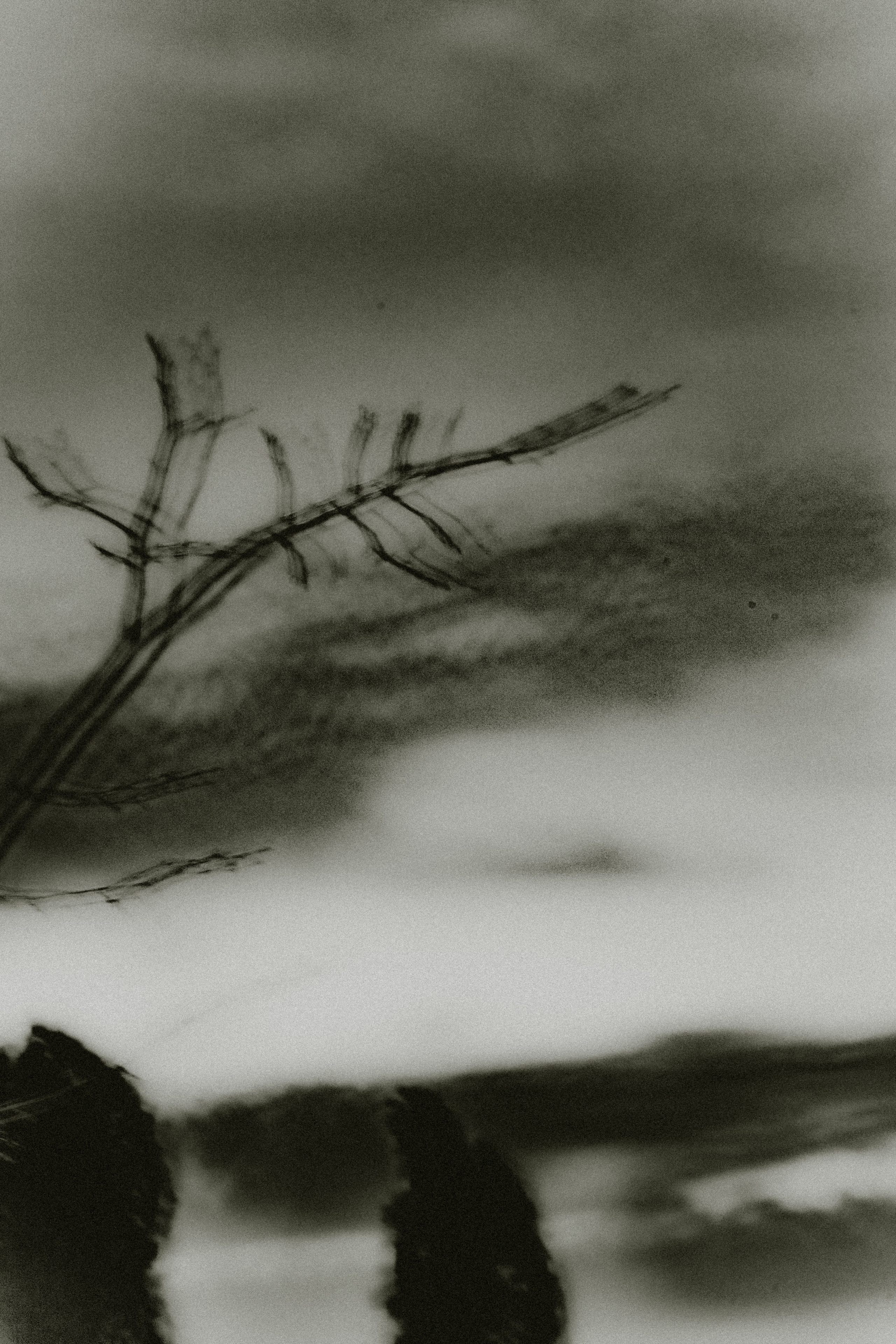 Горизонт. Фотограф, фотохудожник г. Краснодар Оксана Зинченко