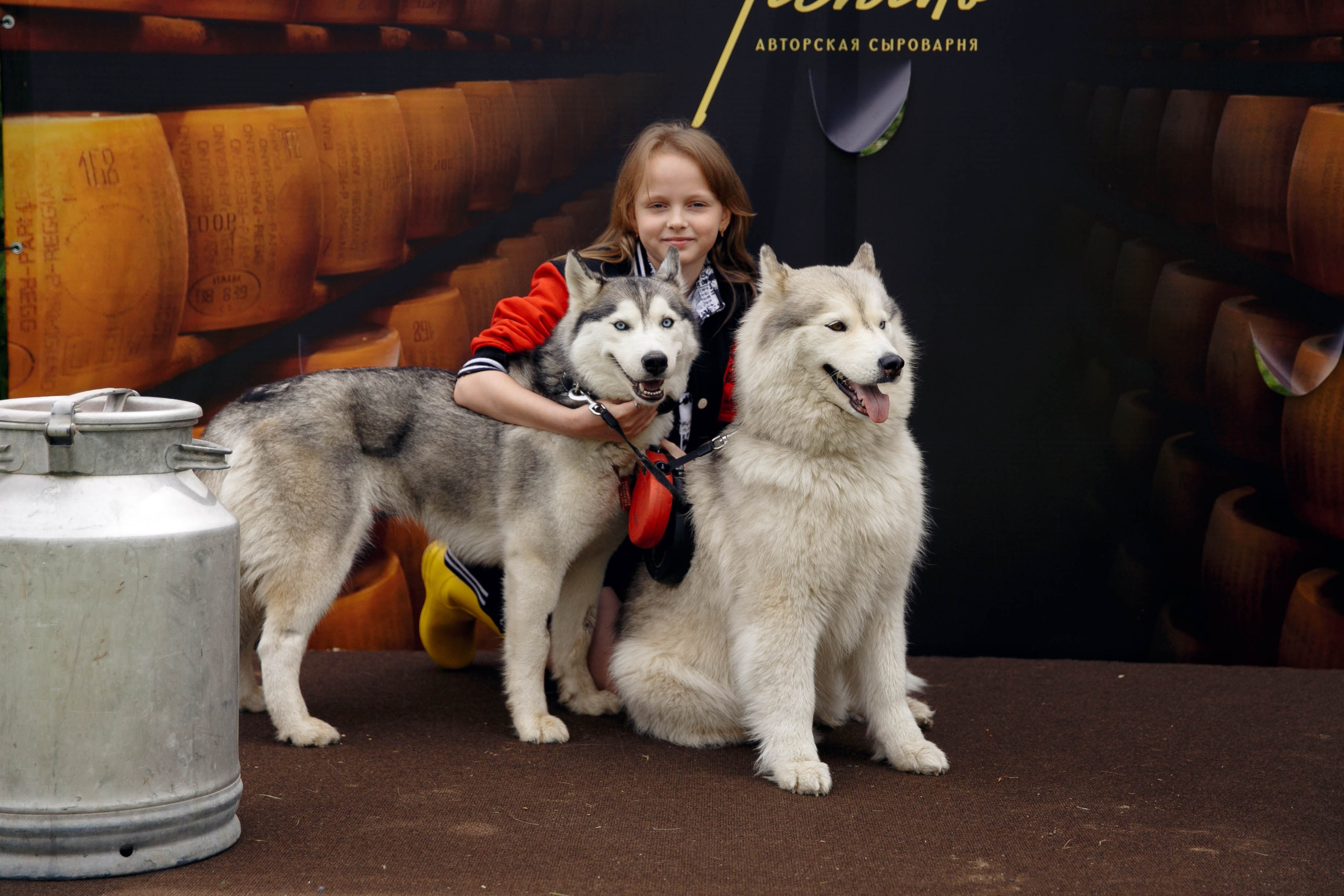 Фестиваль «Сыр и пир». Ваш репортажный фотограф Артемий Антонов